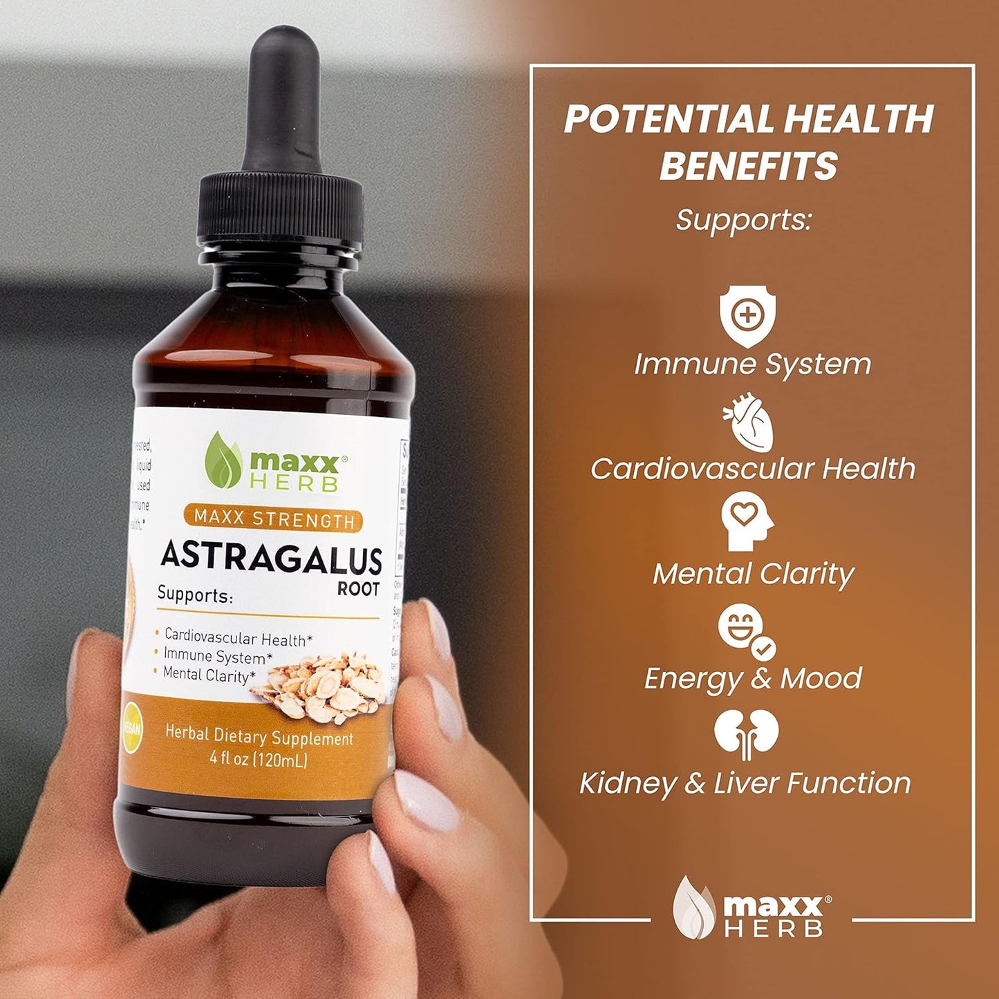 Maxx Herb Astragalus Root Extract Liquid Tincture - Immune Support & Mental Clarity - 4 Bottles, 4 Oz Each