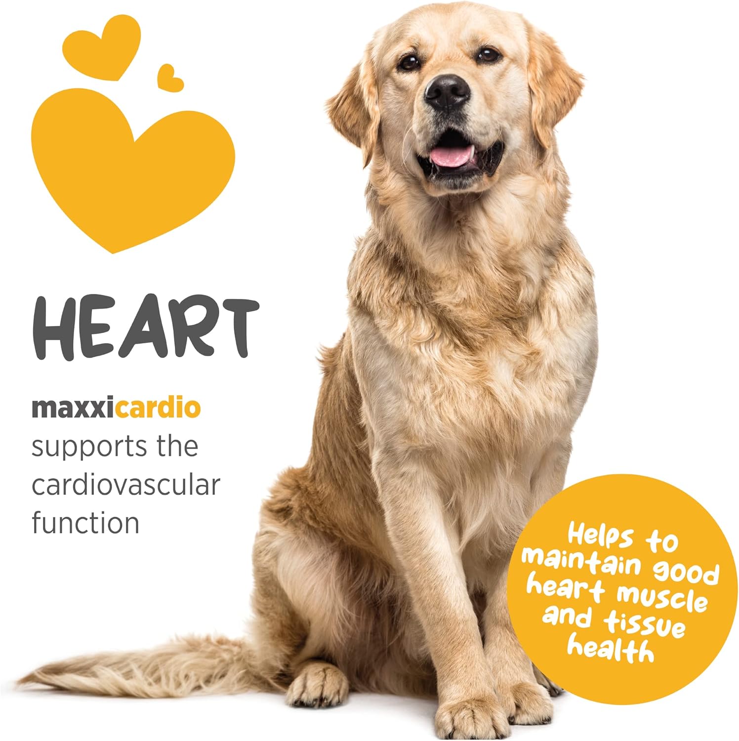 maxxipaws maxxicardio Dog Heart & Cardiovascular Powder Supplement, 5.3oz - Supports Canine Cardiovascular Health