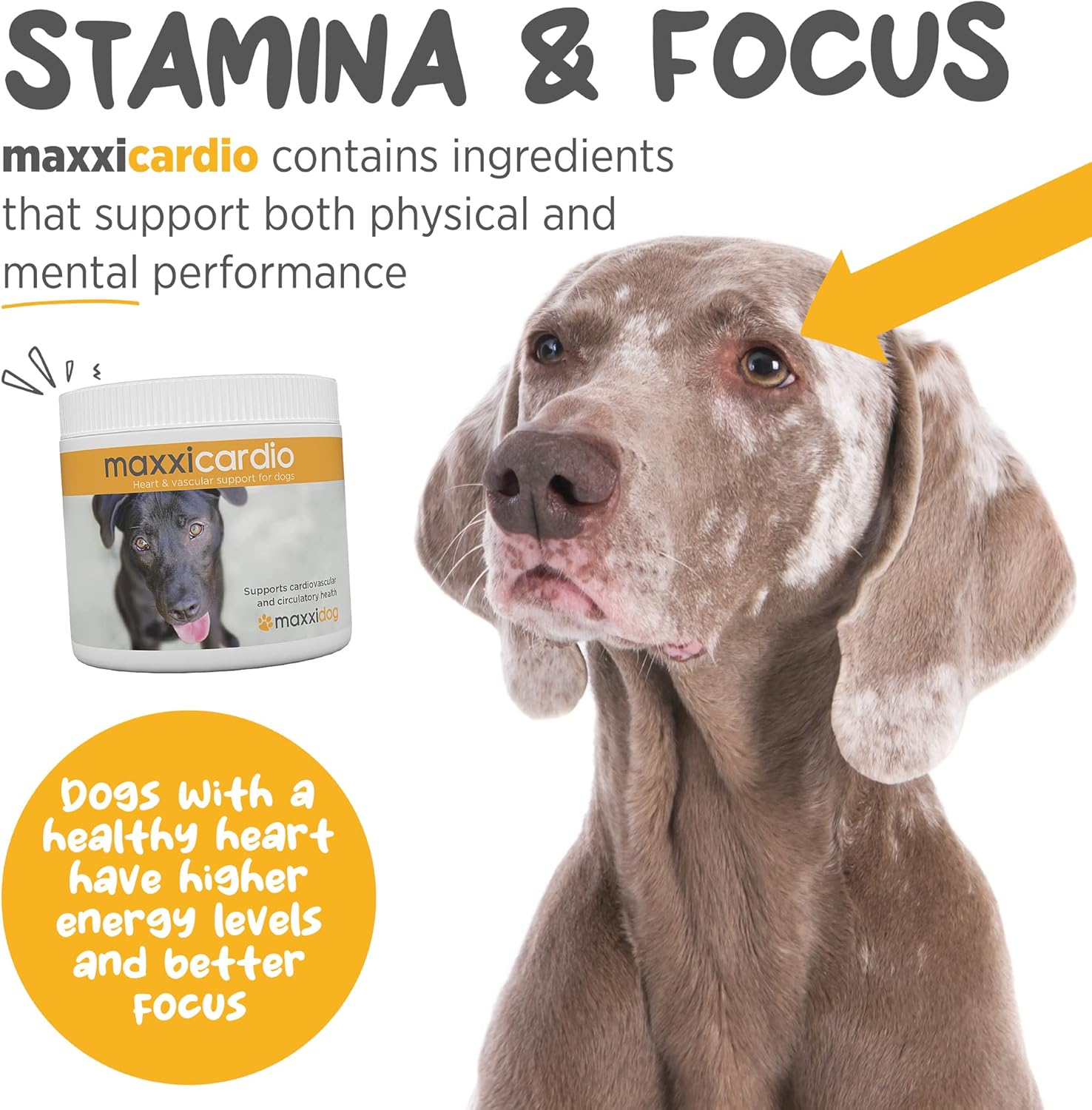 maxxipaws maxxicardio Dog Heart & Cardiovascular Powder Supplement, 5.3oz - Supports Canine Cardiovascular Health
