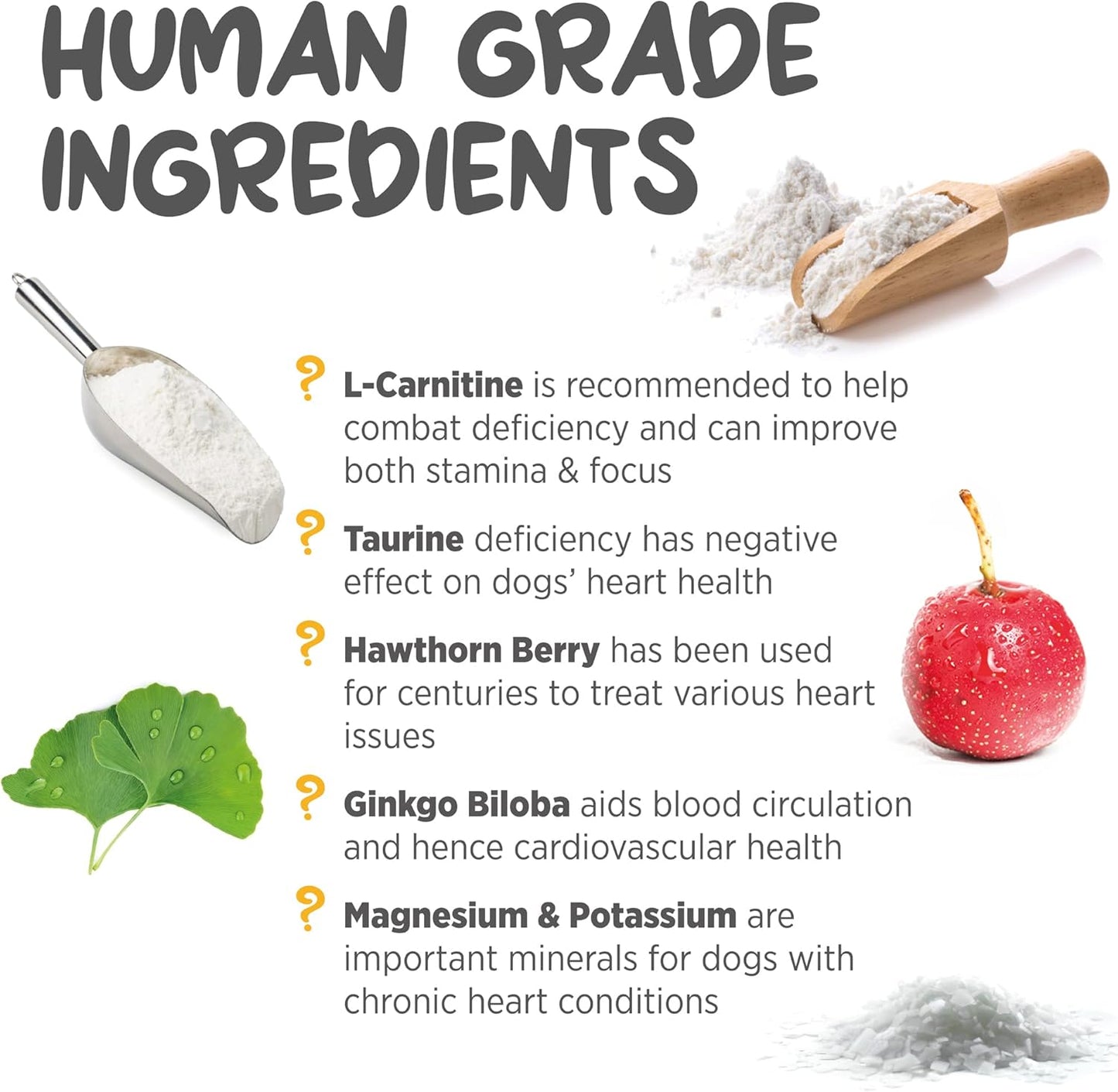 maxxipaws maxxicardio Dog Heart & Cardiovascular Powder Supplement, 5.3oz - Supports Canine Cardiovascular Health