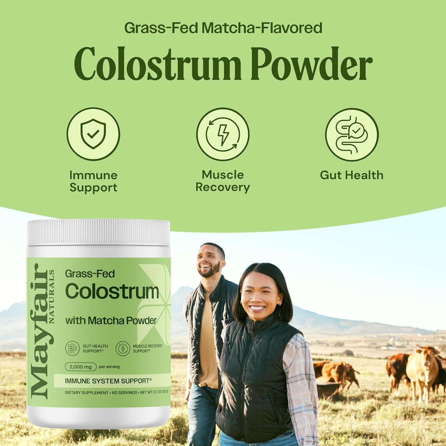 Mayfair Naturals Grass-Fed Bovine Colostrum & Matcha Green Tea Supplement - Immune Support for Kids & Adults - Gut Health & Muscle Recovery - 60 Servings