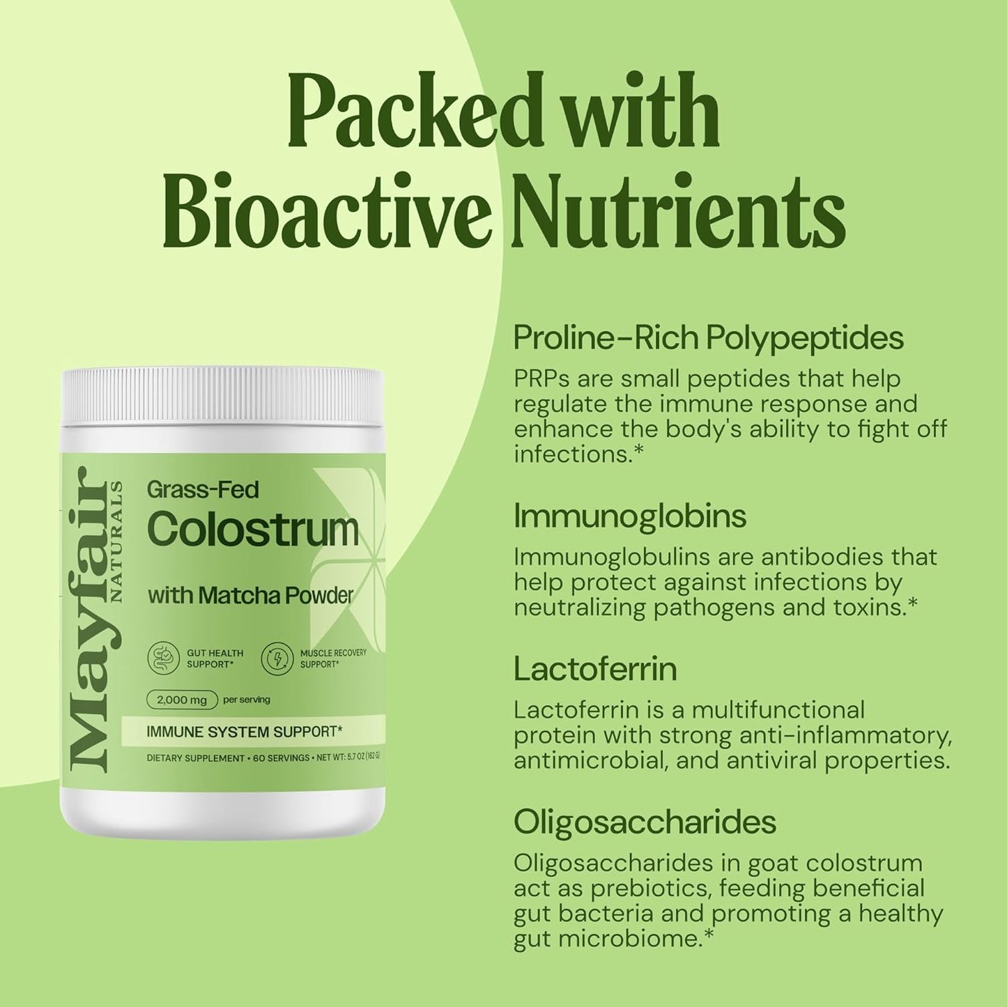 Mayfair Naturals Grass-Fed Bovine Colostrum & Matcha Green Tea Supplement - Immune Support for Kids & Adults - Gut Health & Muscle Recovery - 60 Servings