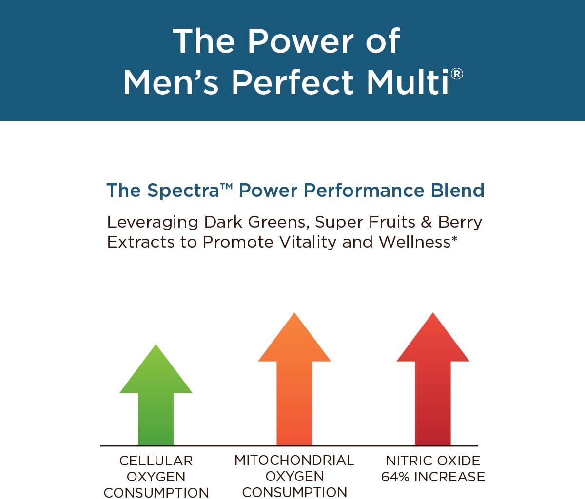 Men's Multi Bundle: Perfect Multi + Flexuron Joint Formula for Healthy Vitality & Energy - 3X Better Than Glucosamine & Chondroitin - 30 Day Supply