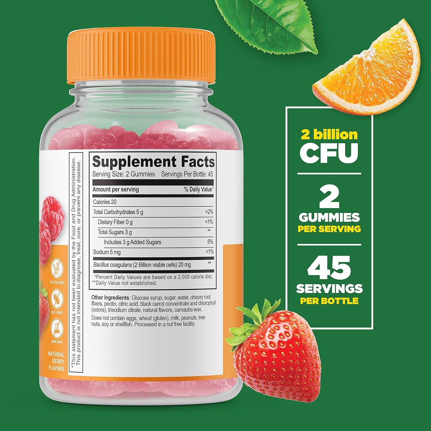 Men's Probiotic Gummy Bundle - 10 Billion + 2 Billion CFU, Vitamin Supplement, Gluten & GMO Free