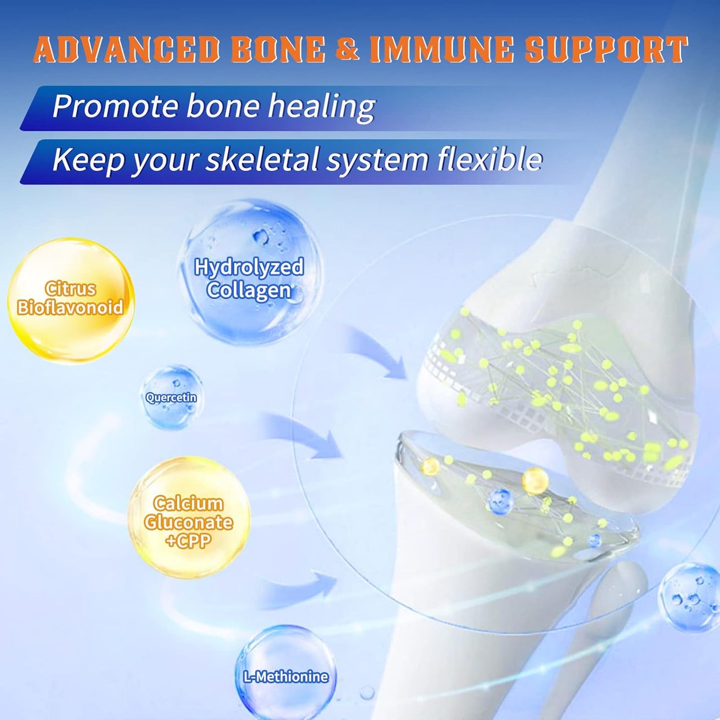 Men's Probiotic Supplement with Glucosamine Chondroitin MSM, Joint Support, Shellfish Free - NATURE TARGET Men Care