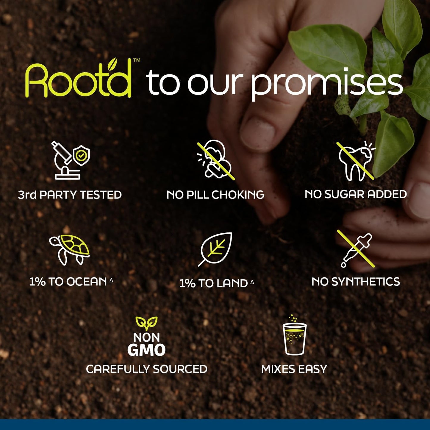 Men's Root'd Multivitamin Powder: 24 Vitamins, 3X Electrolytes, 9 Superfoods, Probiotics, Enzymes | Sugar-Free, Hydrating - 24 Packets