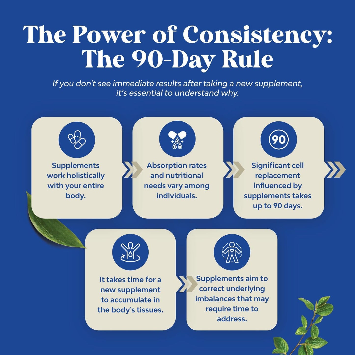 Men's Wellness Supplement with Black Maca, Siberian Ginseng, and Ashwagandha - Herbal Capsules for General Health - Natures Craft (Trial Size)