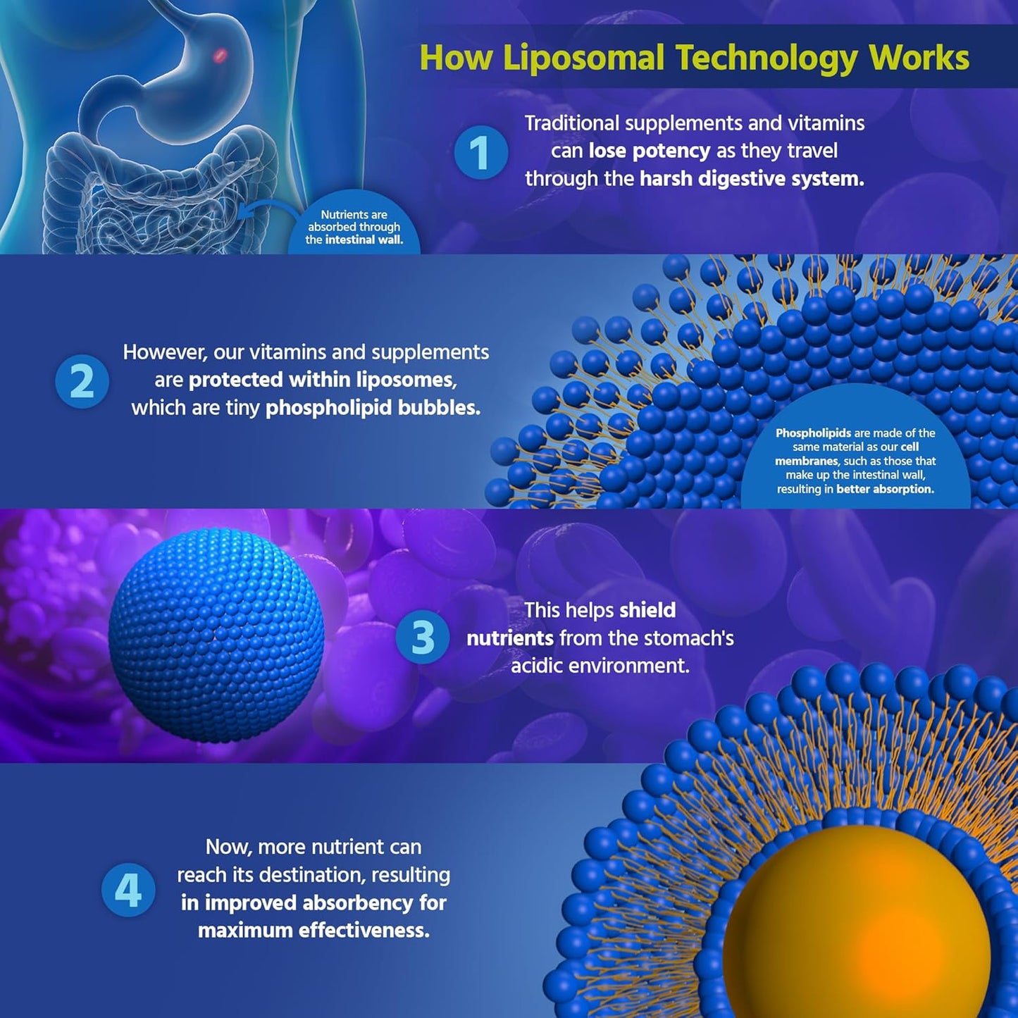 Methyl B12 Folate Supplement for Mood, Cognitive, & Heart Health - 5-MTHF Pills for Men & Women - Methylfolate Vitamin B9 - 60 Count
