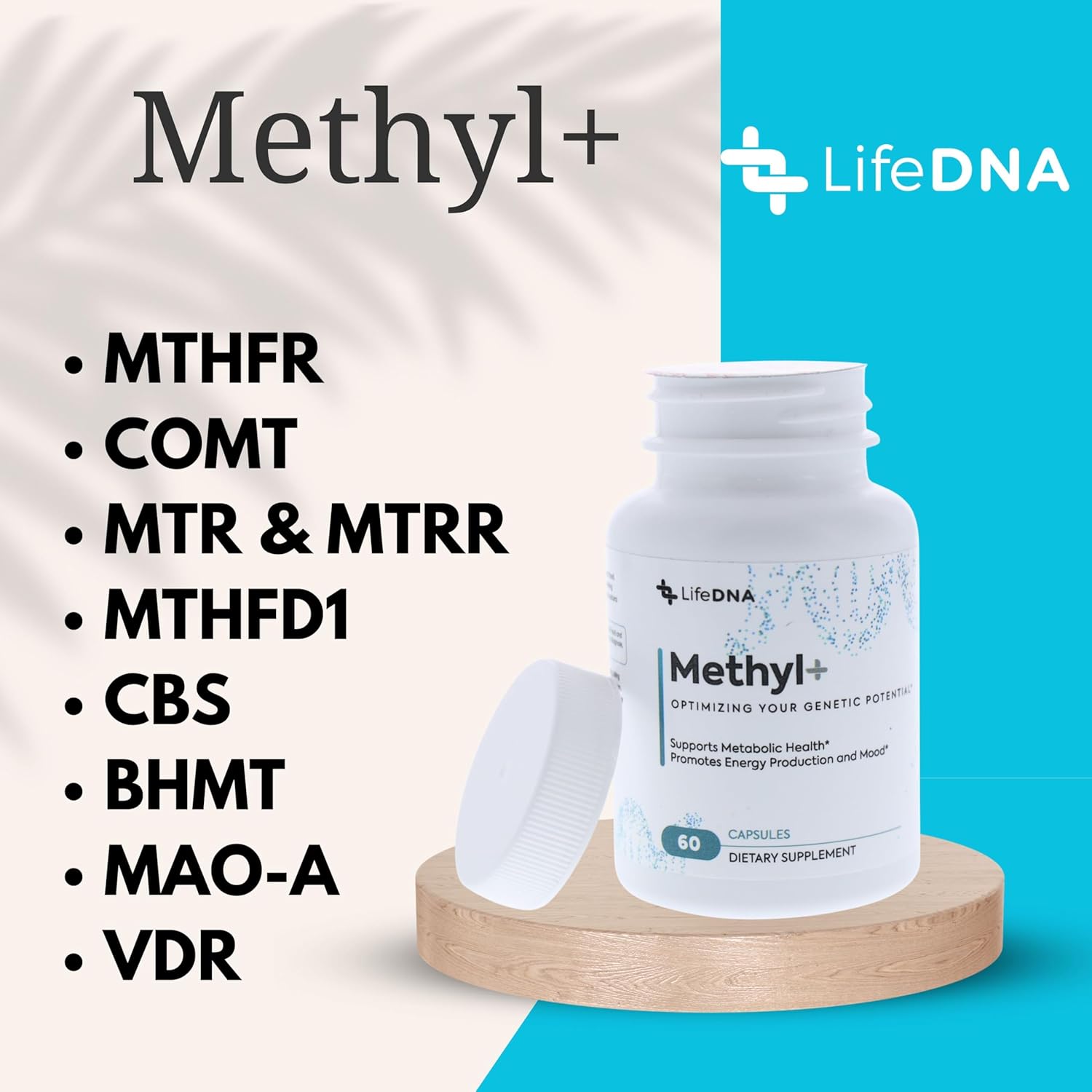 Methyl+ Multivitamin Complex with Methylfolate & TMG for Homocysteine & Brain Support
