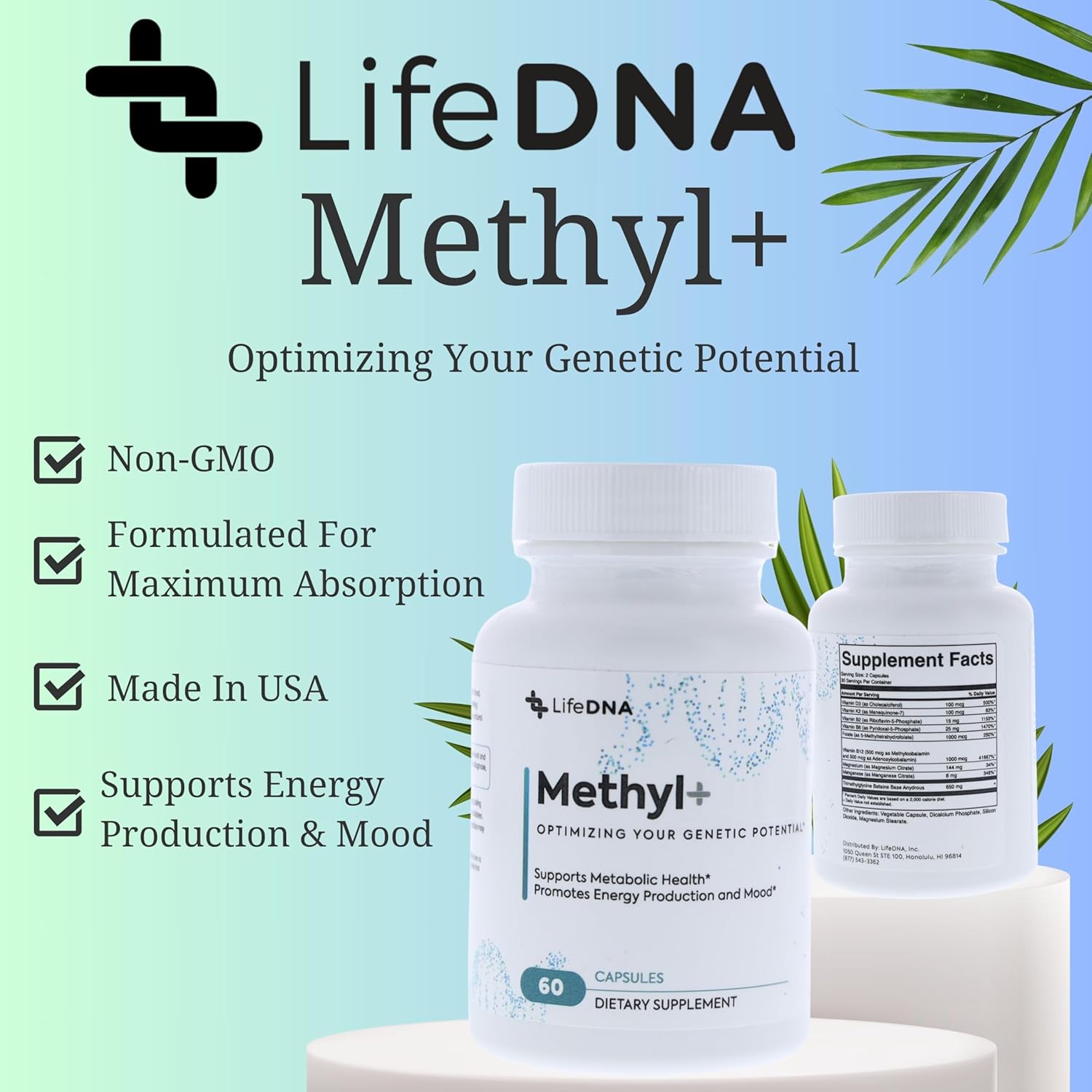 Methyl+ Multivitamin Complex with Methylfolate & TMG for Homocysteine & Brain Support