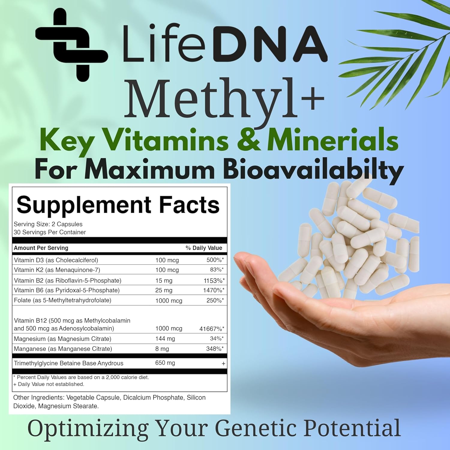 Methyl+ Multivitamin Complex with Methylfolate & TMG for Homocysteine & Brain Support