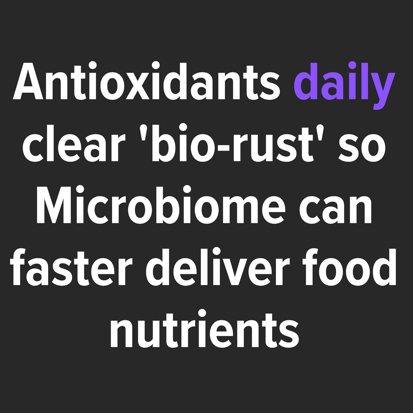 Microbiome-Friendly Liquid Fermented Pumpkin Pie Antioxidants from Leckar Culinary