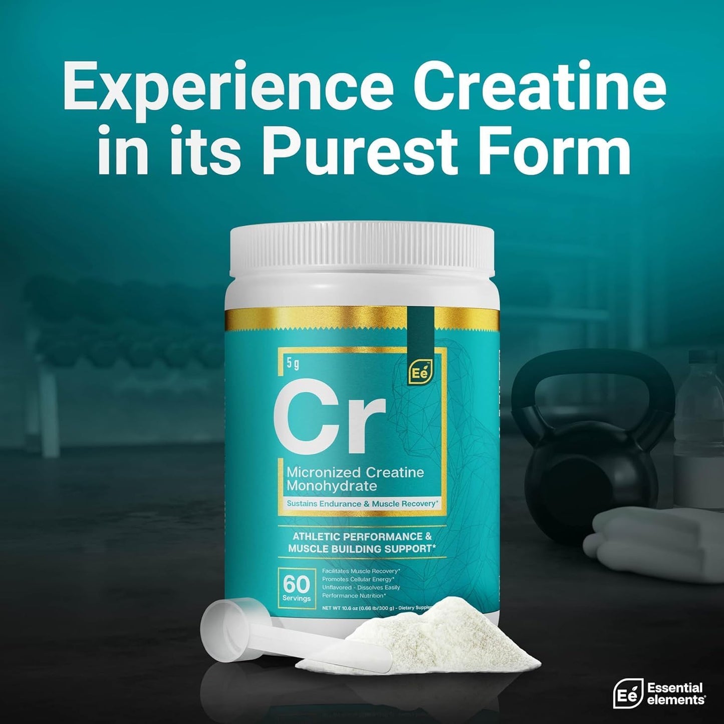 Micronized Creatine Monohydrate Powder for Women and Men - Unflavored Pure Creatine Supplement - 240 Servings (2 Pack)