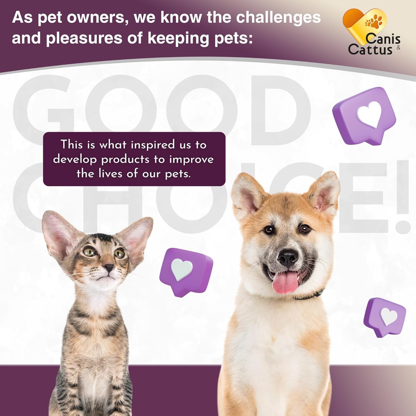 Milk Thistle Supplement for Cats and Dogs | Liver Support for Pets | 2 Oz Bottle