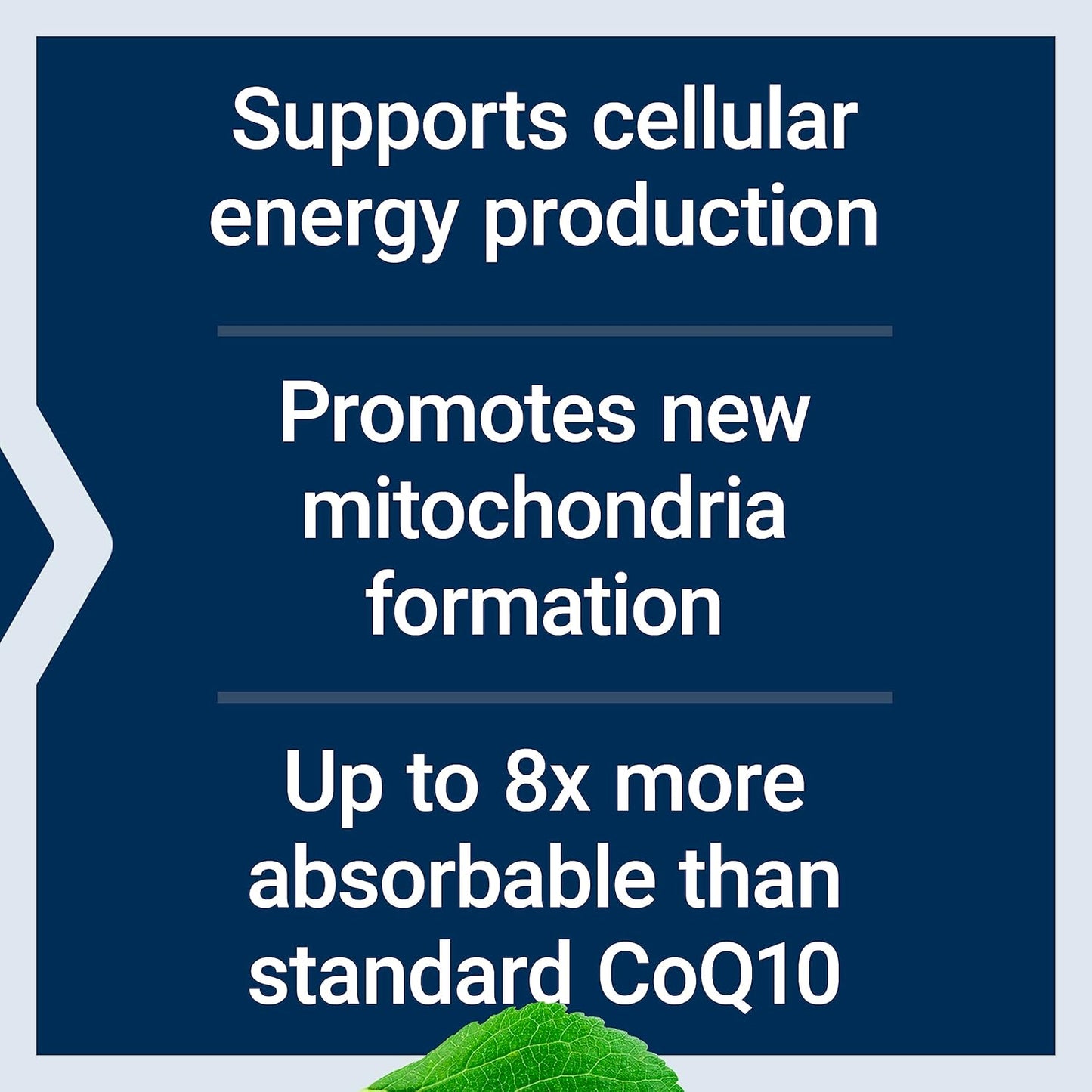 Mitochondrial Energy Optimizer with PQQ and CoQ10 - 120 Capsules and 30 Softgels for Enhanced Longevity