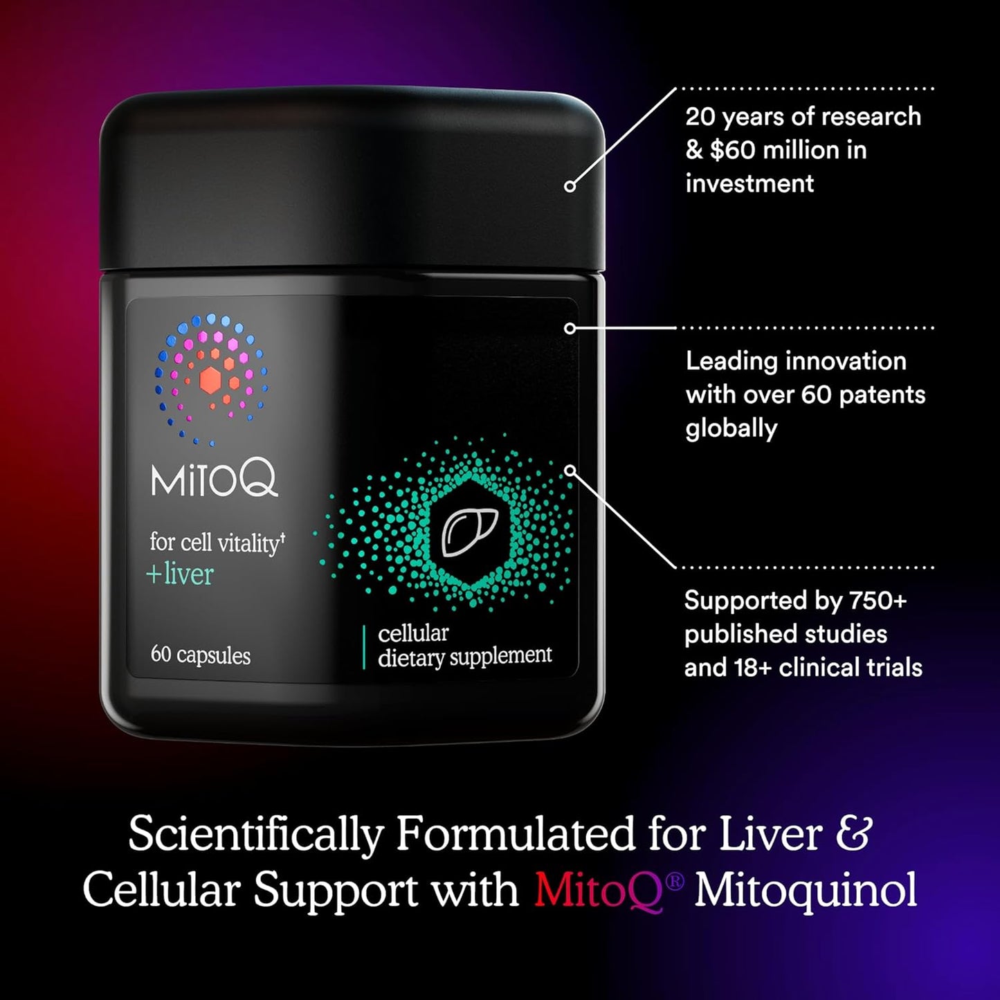MitoQ +Liver Premium CoQ10 Antioxidant - Supports Liver Health & Metabolism - Boosts Cell Vitality - 60 Capsules