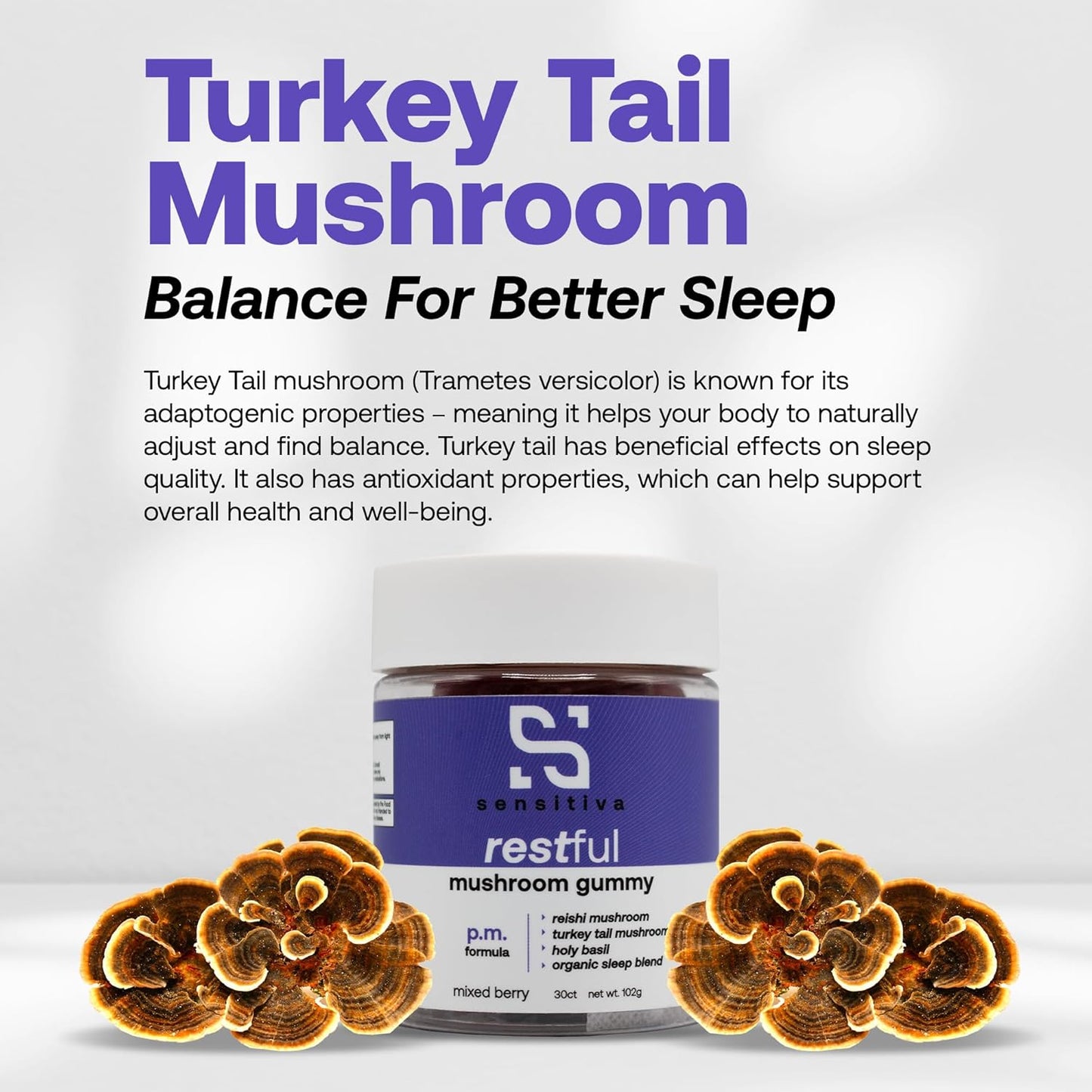 Mixed Berry P.M. Formula Mushroom Gummies for Sleep, Relaxation & Stress Relief - Reishi & Turkey Tail Mushroom Supplement