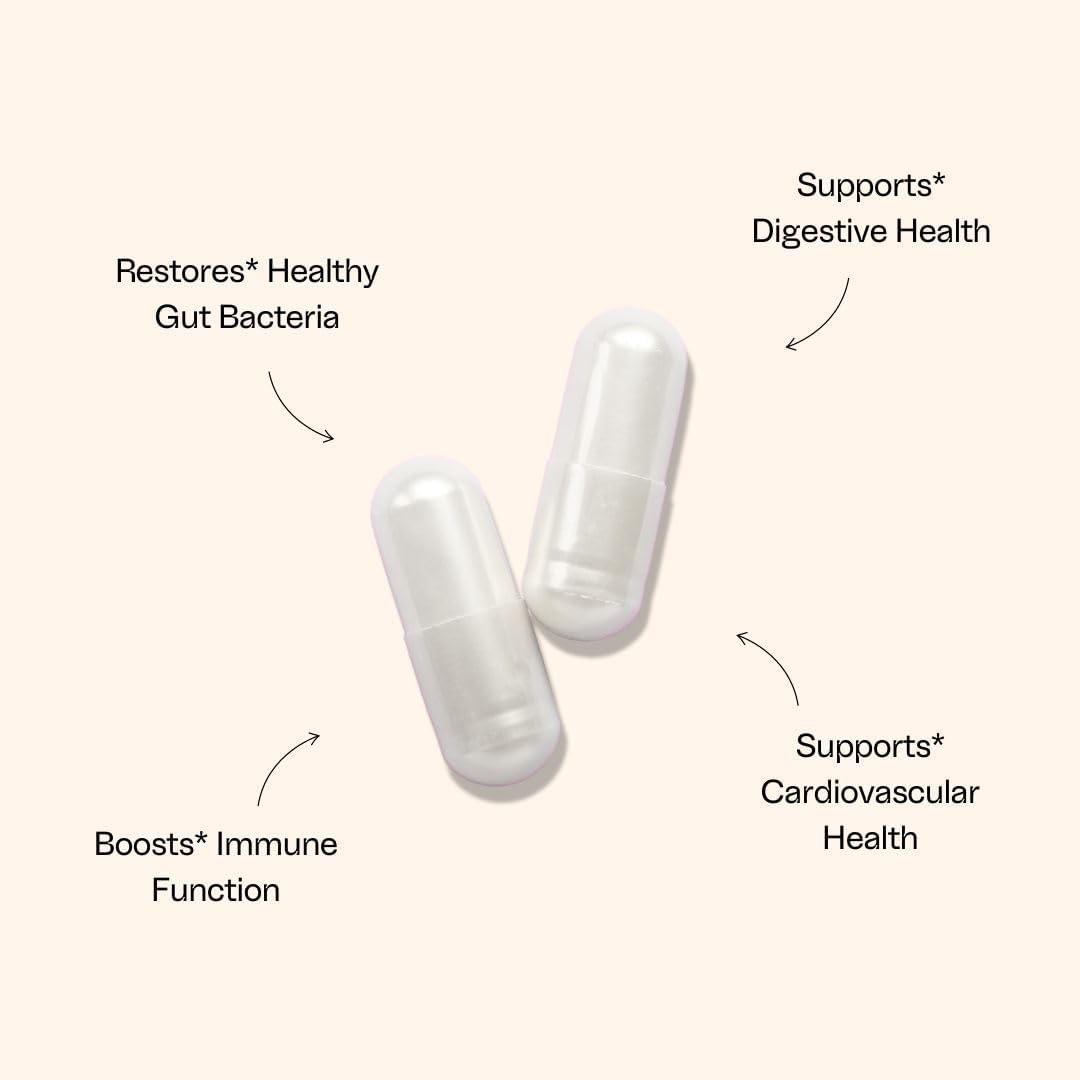 Monarch Wellness Co. Probiotic with Prebiotics: 40 Billion CFU, 4 Strains - Digestive & Gut Health (60 Capsules) - Natural Probiotics for Women & Men - Immune Support & Digestive Aid Supplement