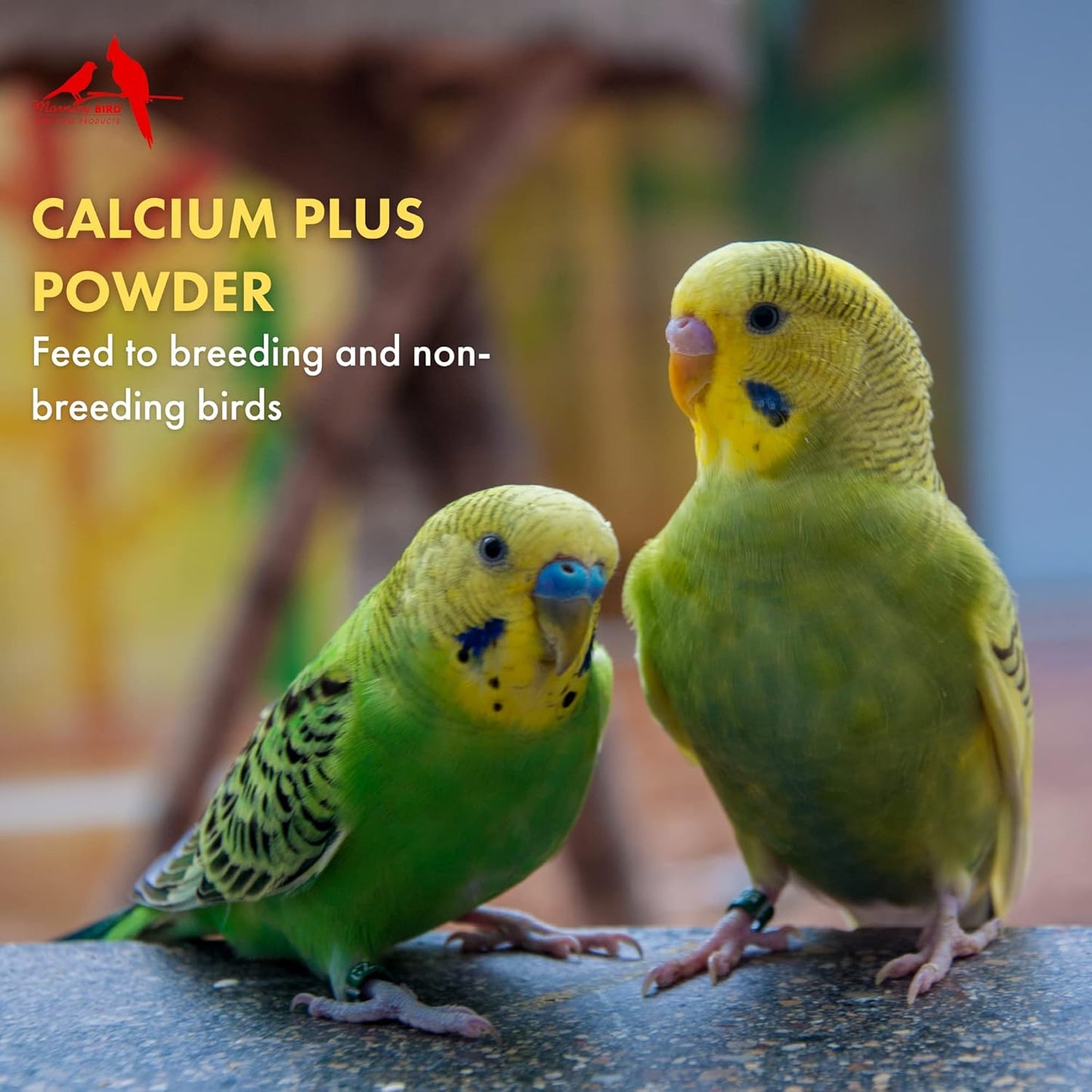 Morning Bird Calcium Plus Powder for Breeding and Non-Breeding Birds - Promotes Health and Wellness - 1 oz