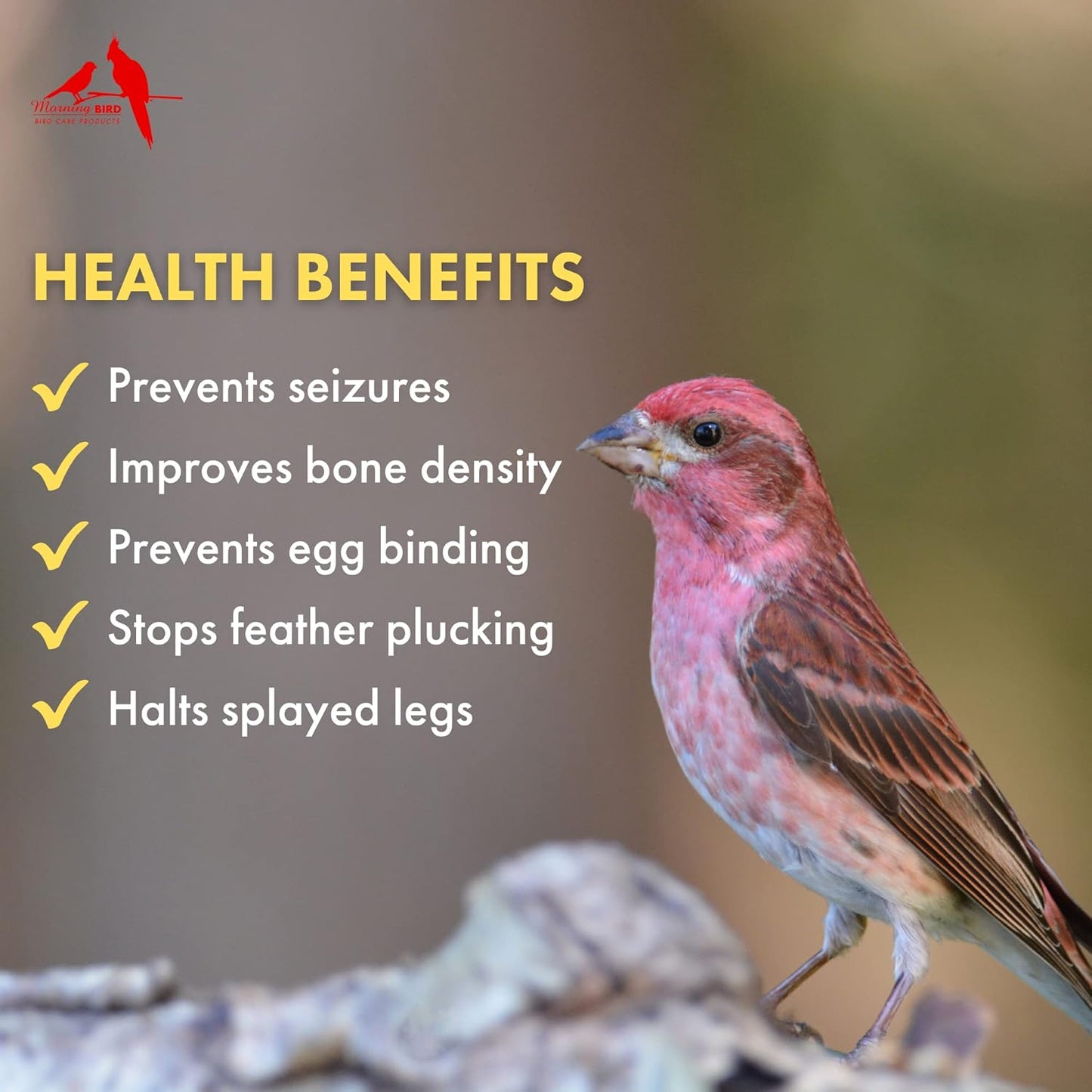 Morning Bird Calcium Plus Powder for Breeding and Non-Breeding Birds - Promotes Health and Wellness - 1 oz