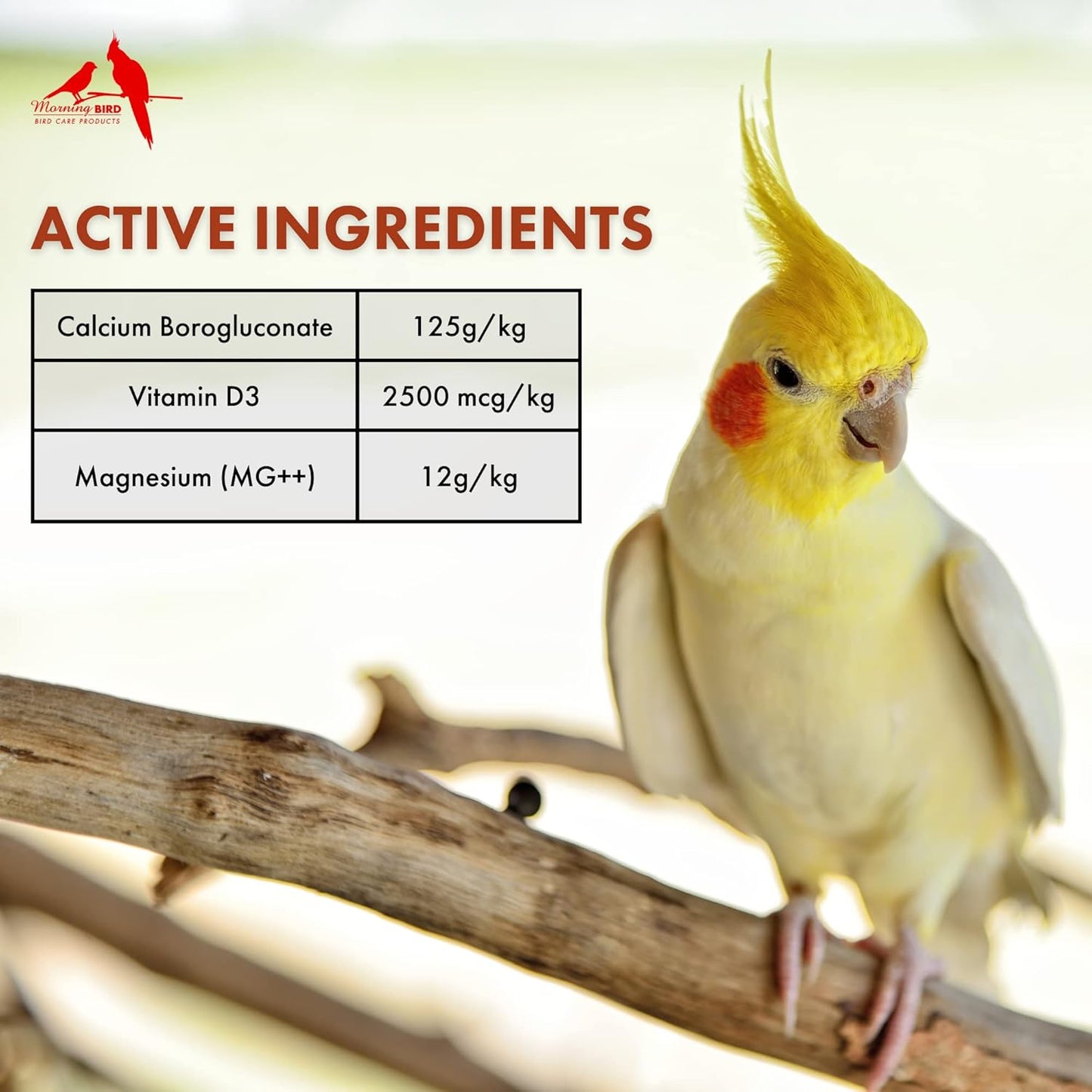 Morning Bird Calcium Plus Powder for Breeding and Non-Breeding Birds - Promotes Health and Wellness - 1 oz