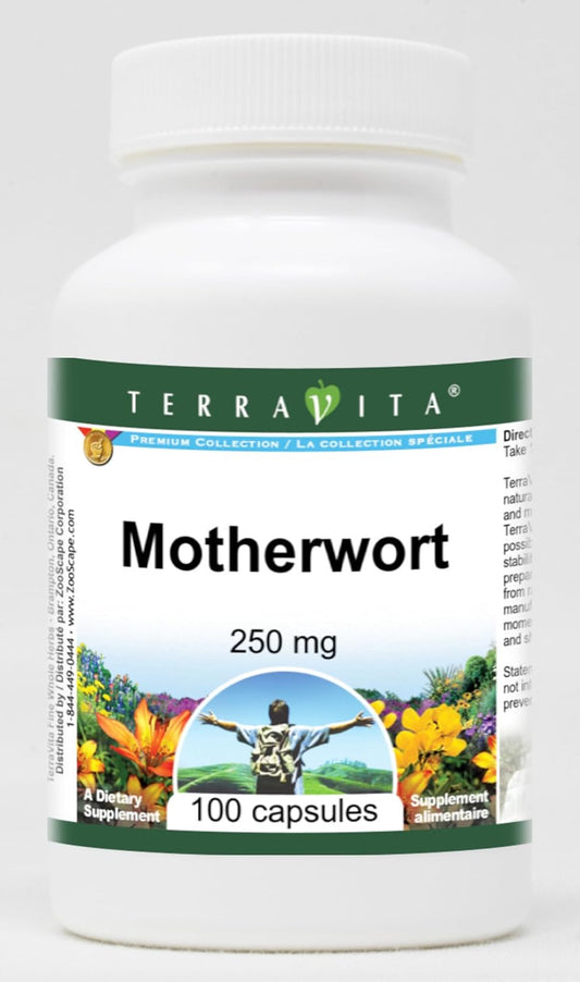 Motherwort Capsules 250 mg - Pack of 200 - Natural Herbal Supplement