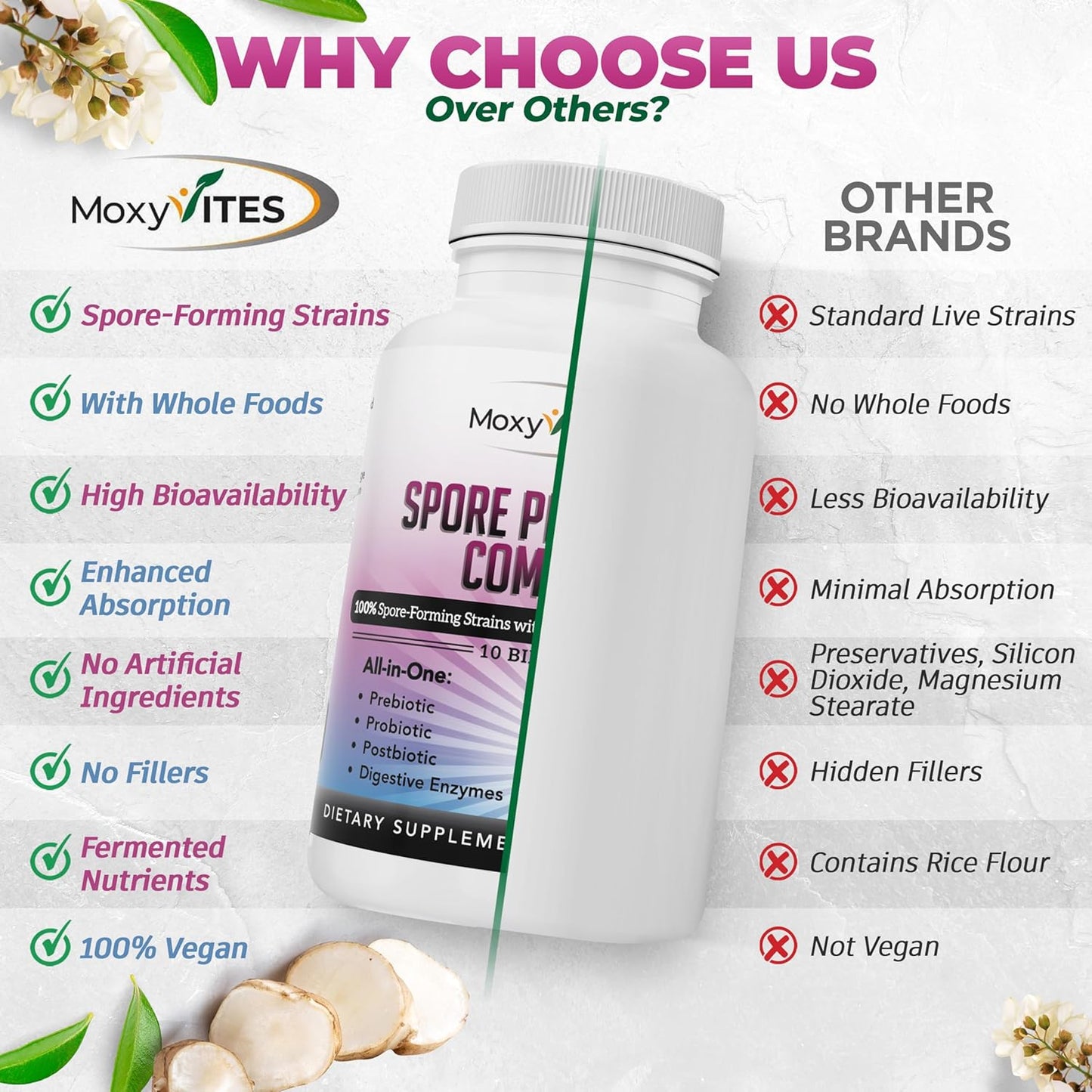 MoxyVites All-In-One Spore Probiotic Complex with Prebiotics, Postbiotics, and Enzymes - Daily Digestive Health Supplement for Women & Men