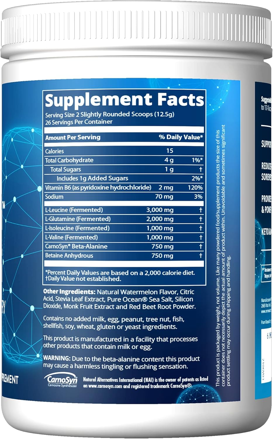 MRM Nutrition Reload BCAA+G Post-Workout Recovery Watermelon Flavor 9.6g Amino Acids CarnoSyn Muscle Recovery Keto Friendly 26 Servings