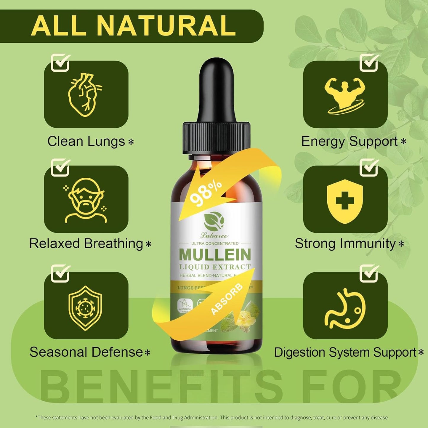 Mullein Drops for Lung Support & Magnesium Complex Supplement - Bundle of 3 Packs