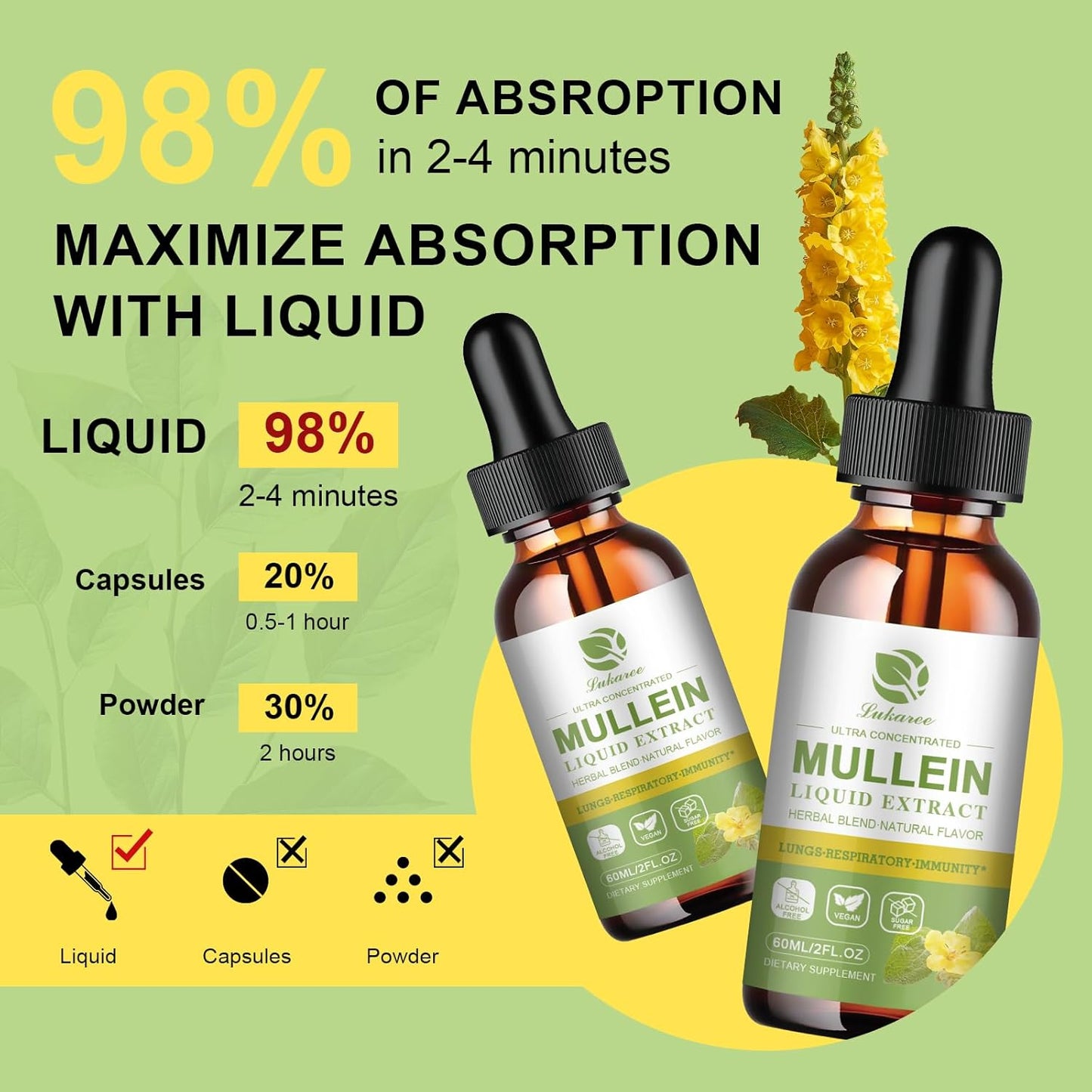 Mullein Drops for Lung Support & Magnesium Complex Supplement - Bundle of 3 Packs