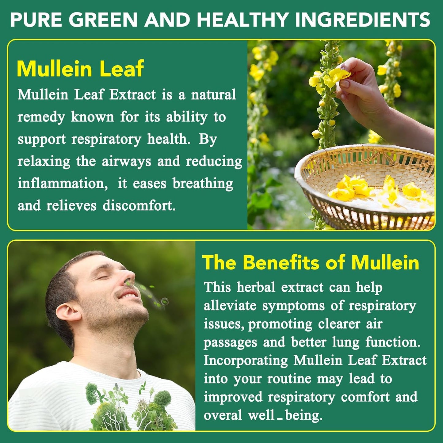 Mullein Gummies for Lung Cleanse - Natural Support for Smokers - Herbal Supplements with Chlorophyll (60 Chews)