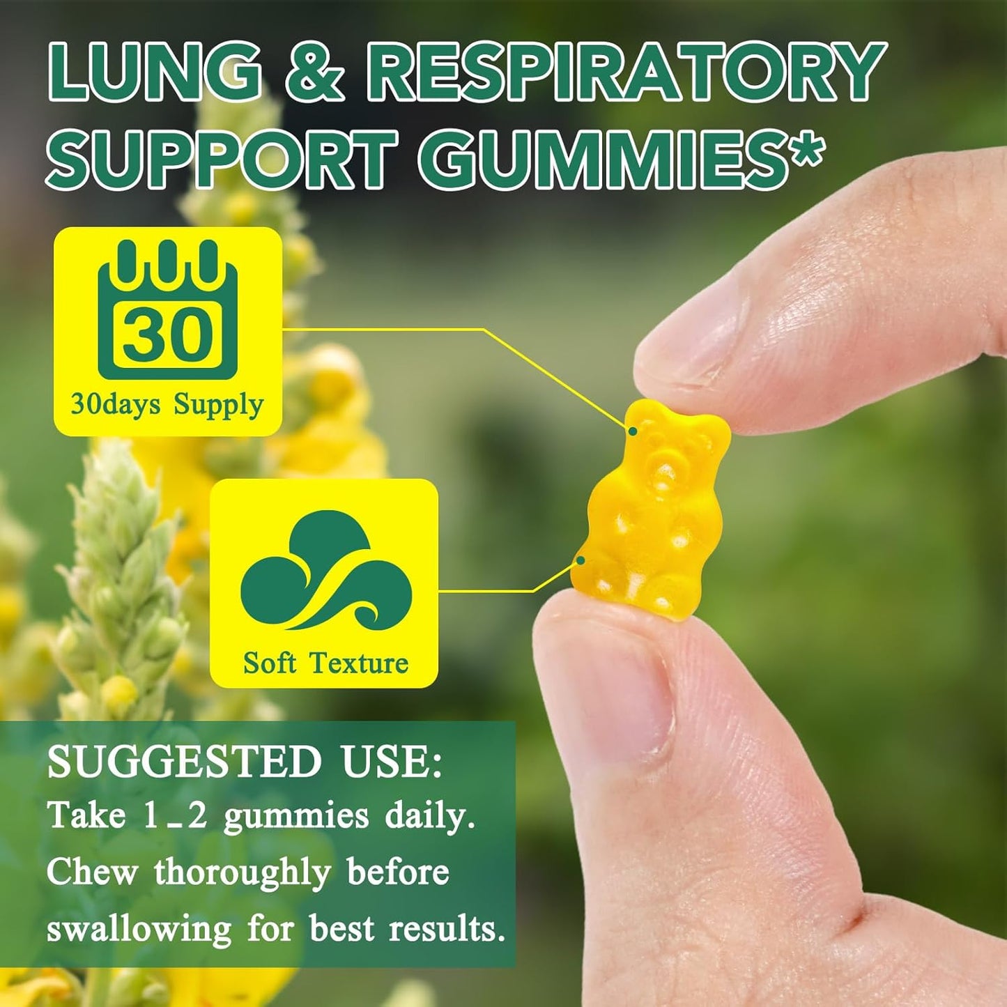 Mullein Gummies for Lung Cleanse - Natural Support for Smokers - Herbal Supplements with Chlorophyll (60 Chews)