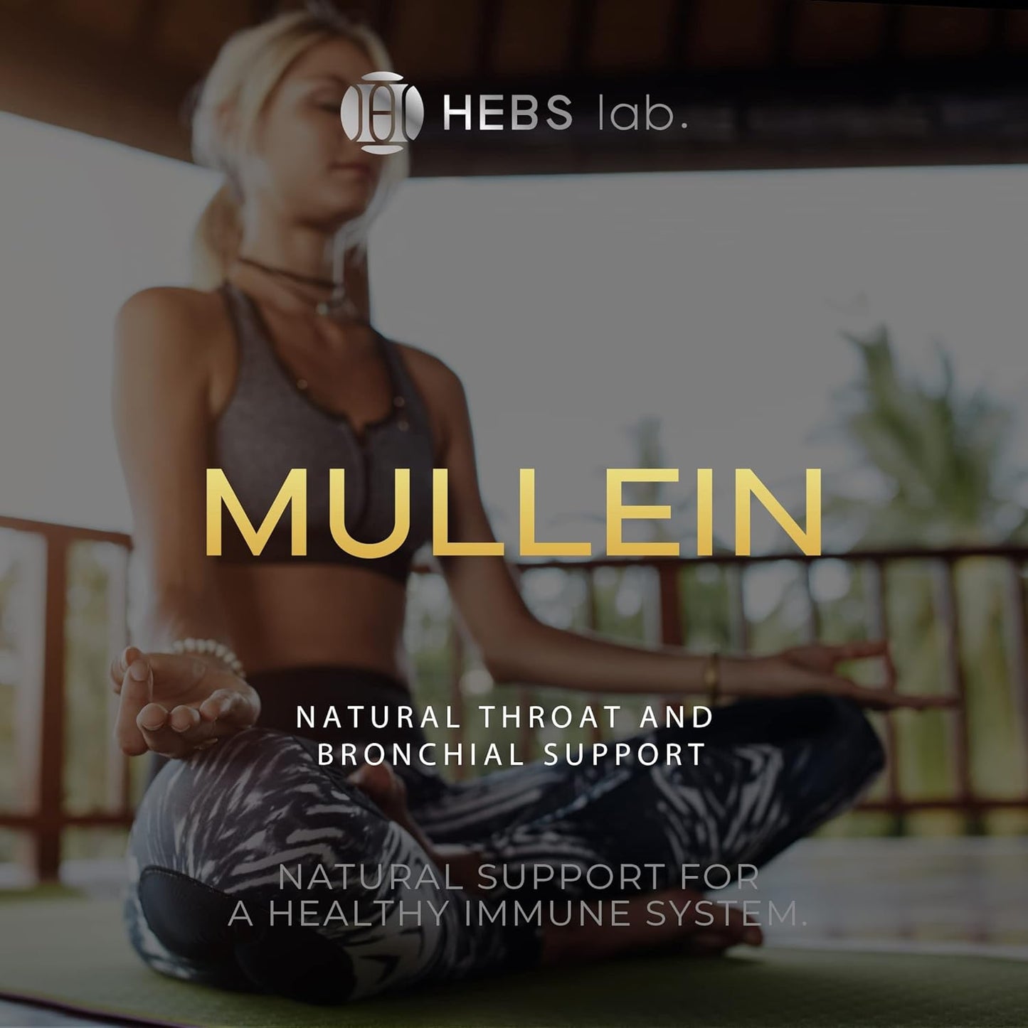 Mullein Leaf and Valerian Root Extract Bundle for Brain Support and Immune Boost - HEBS LAB