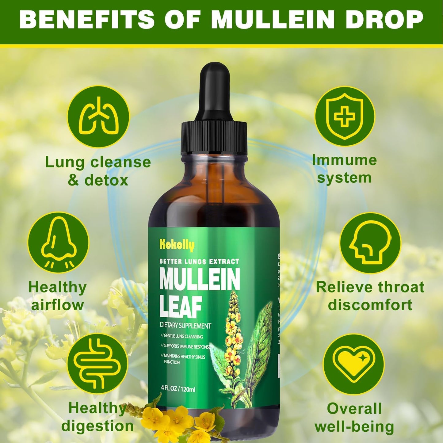 Mullein Leaf Extract Drops for Lung Cleanse and Respiratory Health, Vegan Herbal Supplement, Non-GMO, 2 Month Supply, 120ml
