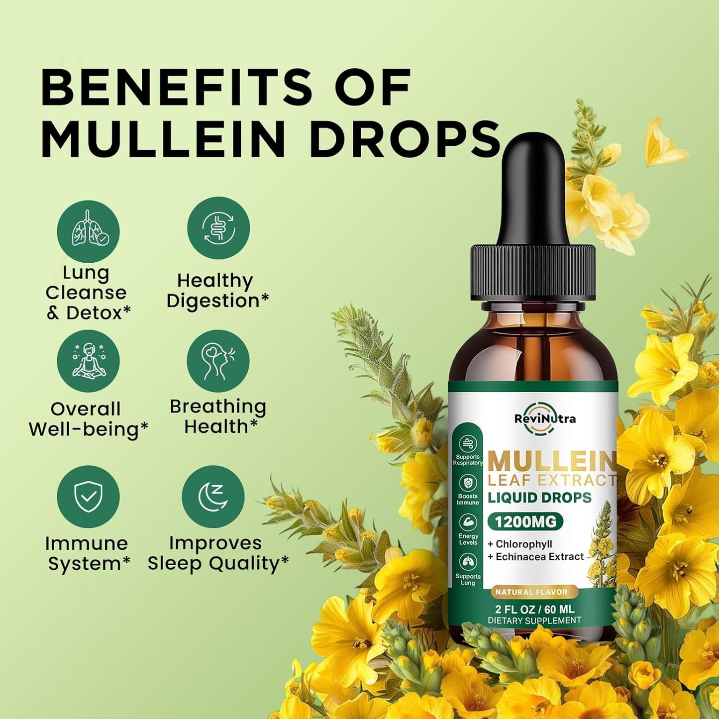 Mullein Leaf Extract Liquid Drops - Lung Cleanse & Detox Support - 1200mg - Non-GMO - 2 Fl Oz