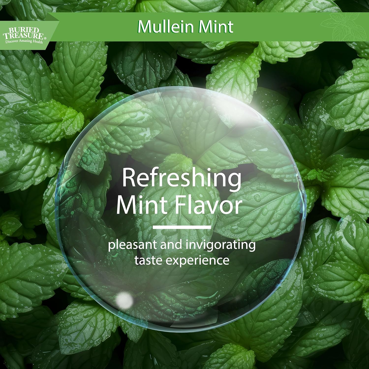 Mullein Mint Drops: Instant Tea with Mullein Leaf Extract for Lung Support - Sugar-Free Drops for Seasonal Wellness - BoostGo Australia