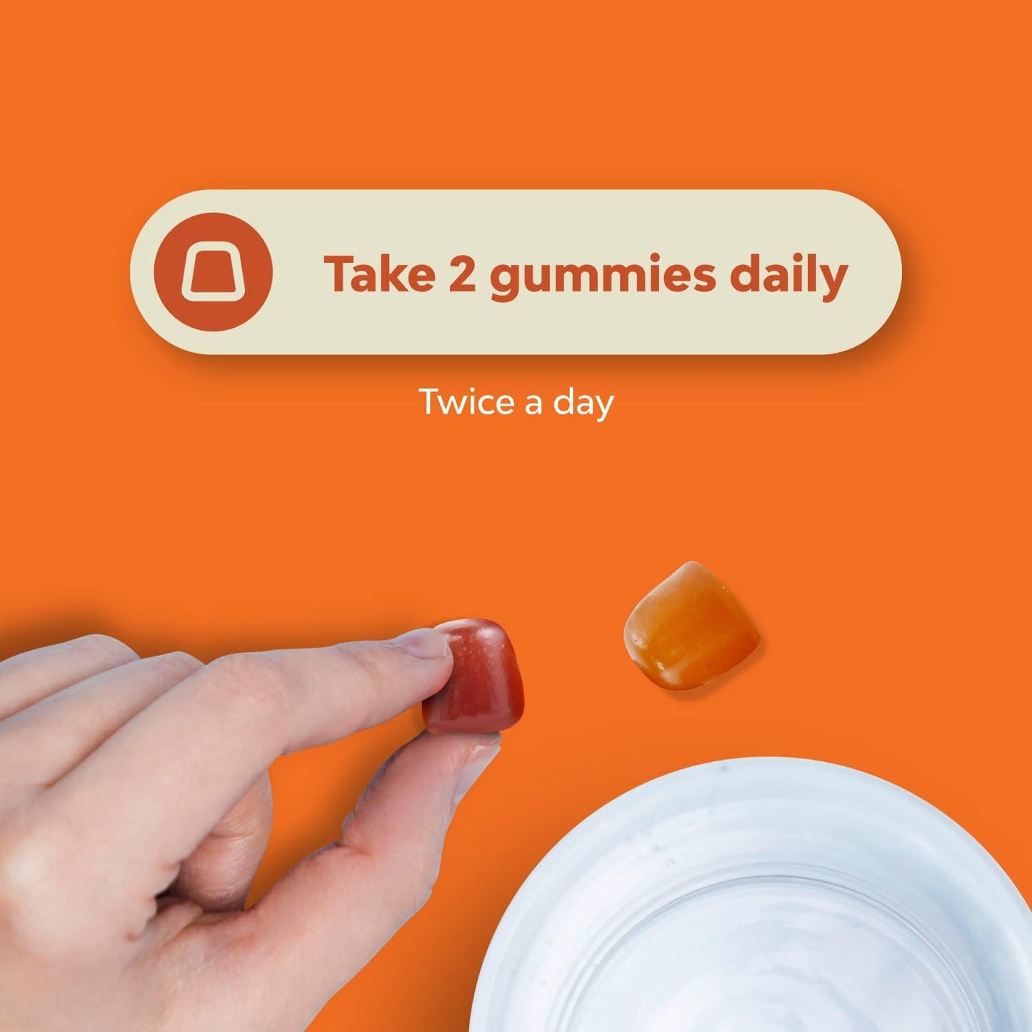 Multivitamin Gummies Bundle for Women & Men with Vitamin D3 Immune Support - Vitamin A C D E B 12 Zinc Biotin - Bone Strength Heart Health