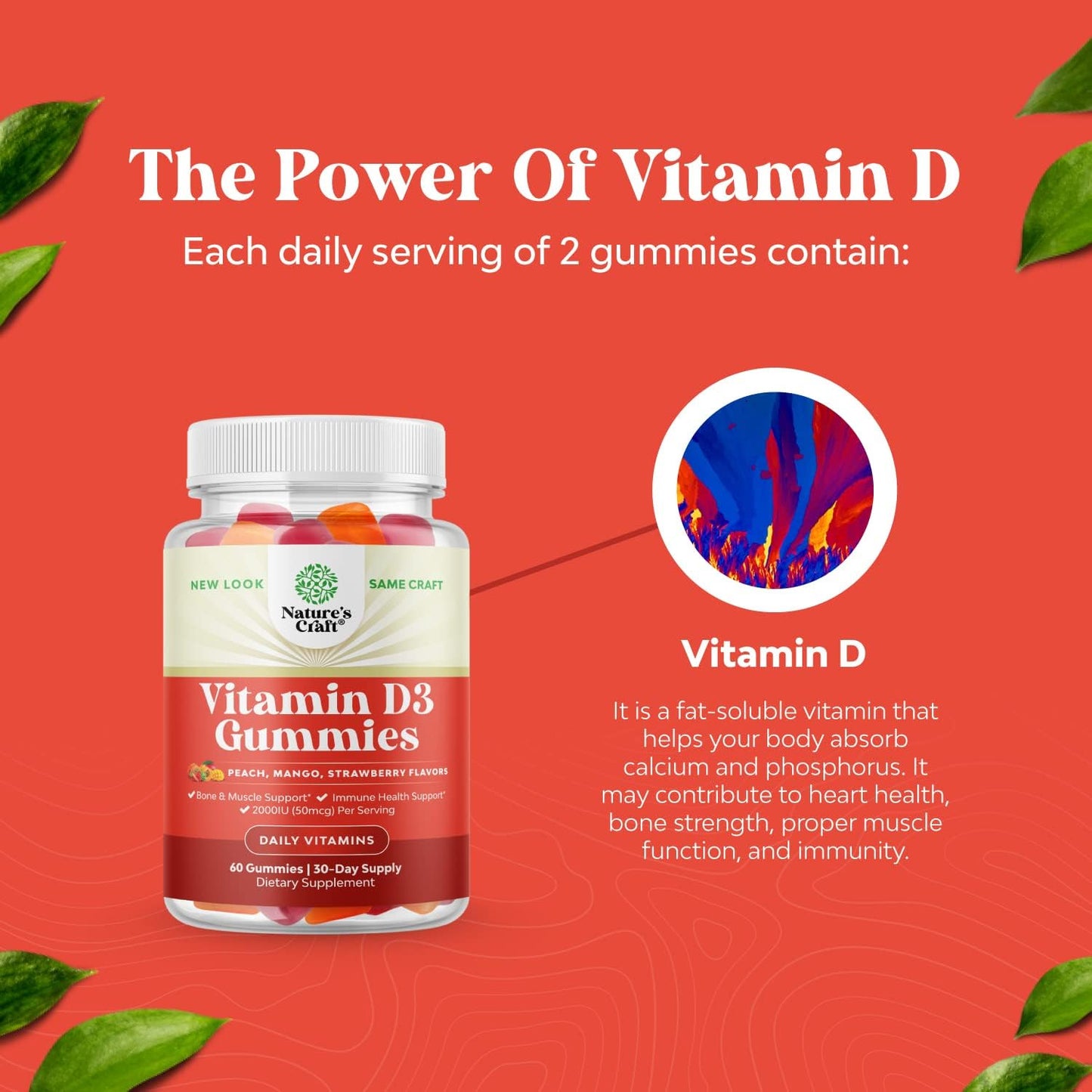Multivitamin Gummies Bundle for Women & Men with Vitamin D3 Immune Support - Vitamin A C D E B 12 Zinc Biotin - Bone Strength Heart Health