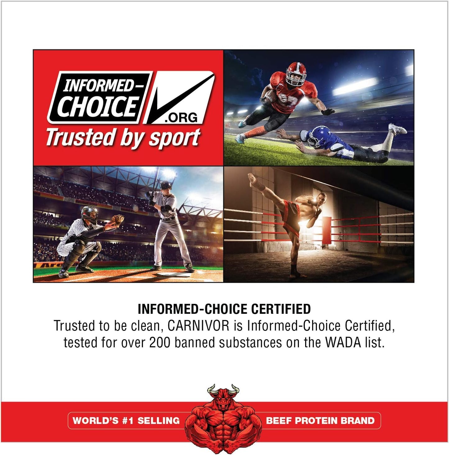 MuscleMeds CARNIVOR Chocolate Beef Protein Isolate Powder - 23g Protein, Halal Certified, Muscle Building & Recovery - Lactose, Sugar & Fat Free - 28 Servings