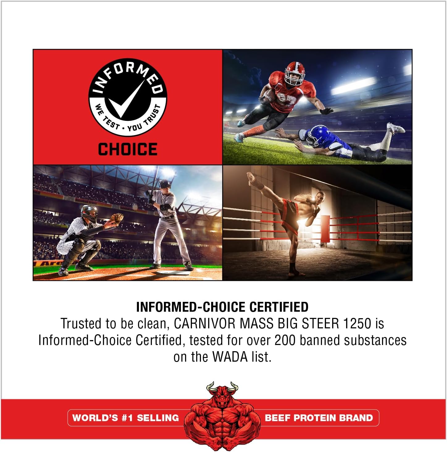 MuscleMeds Carnivor Mass Chocolate Big Steer 1250, 15 lb - Large Size, Various Packaging