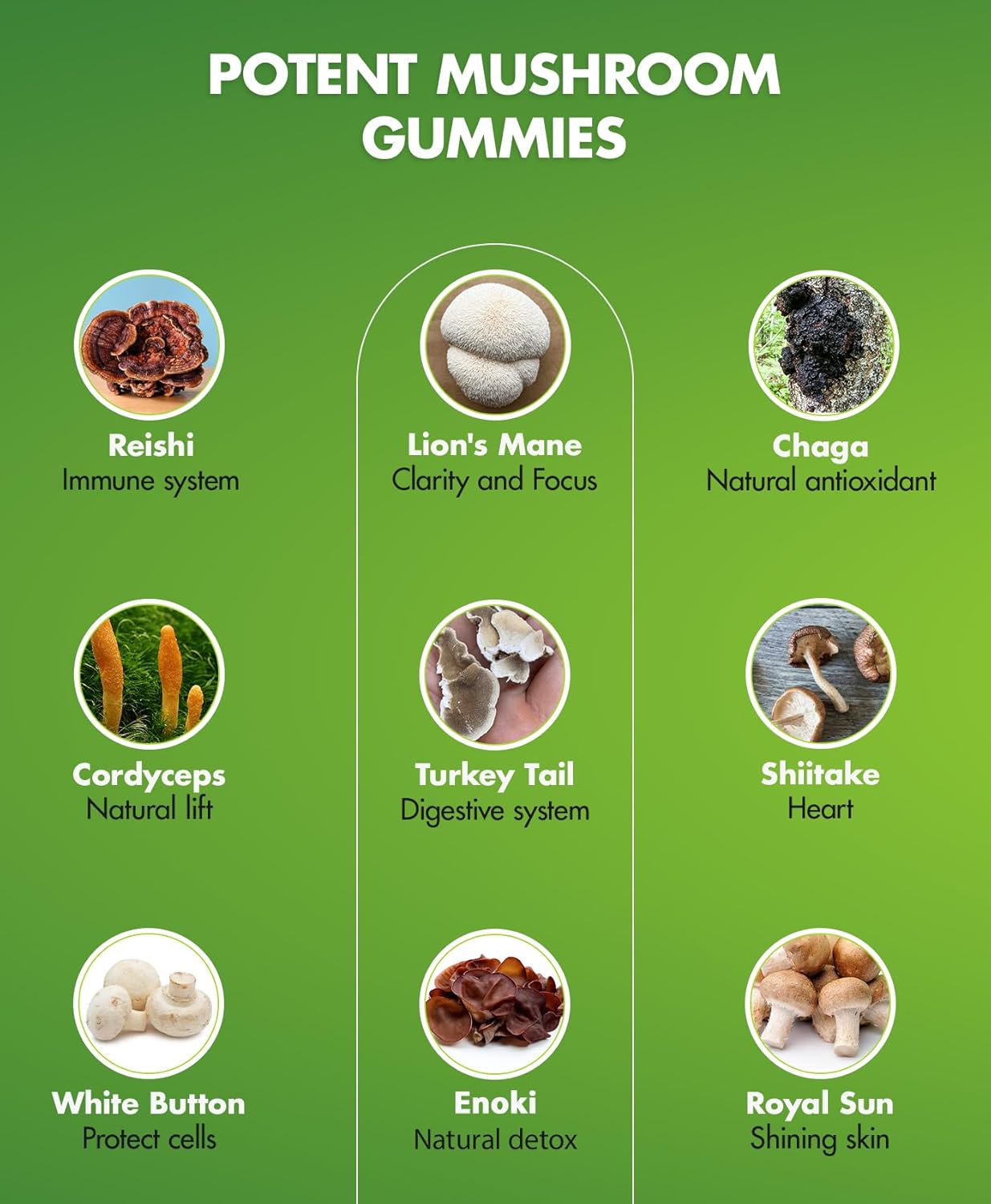 Mushroom Gummies for Adults - Lions Mane & 10-Blend Complex Reishi, Chaga, Cordyceps, Turkey Tail - BIO VITALICA Supplement - BoostGo Australia