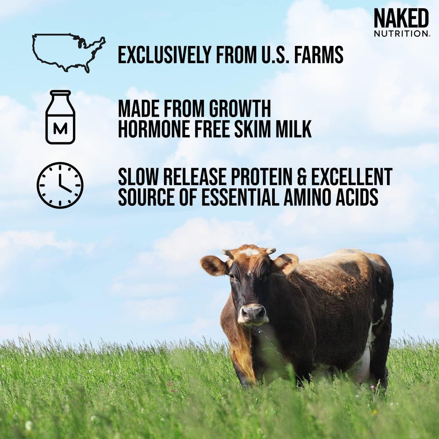 Naked Casein Protein Powder - 1lb Micellar Casein for Muscle Growth & Recovery - Bulk GMO-Free, Gluten-Free, Soy-Free, Preservative-Free - 15 Servings