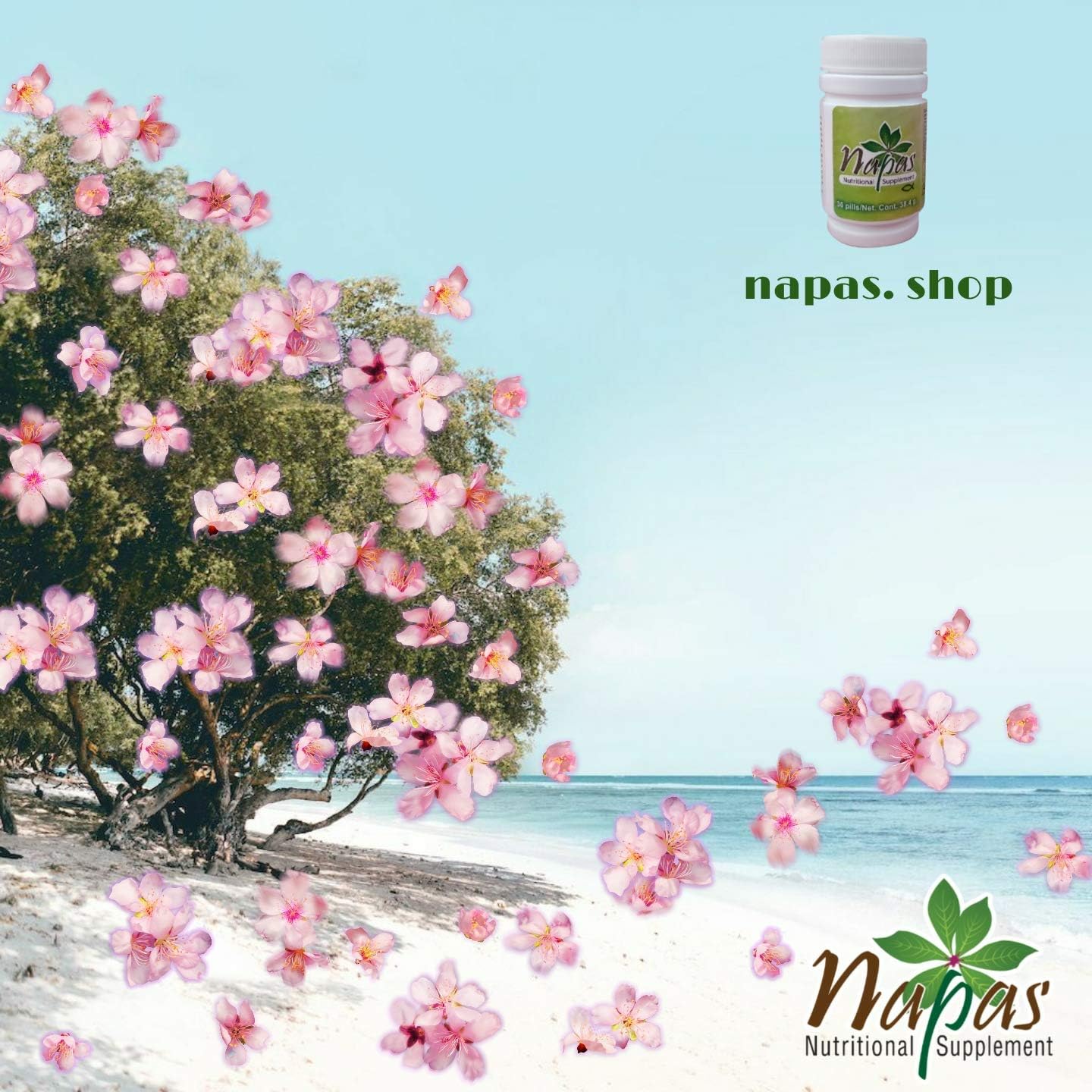 Napas - Premium Quality Leather for Crafting and Upholstery