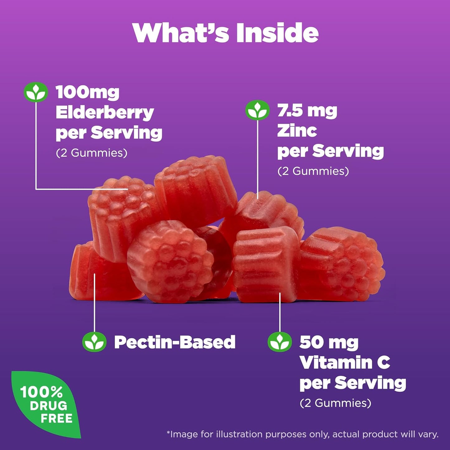 Natrol Elderberry Gummies 100mg for Immune Support - 60 Berry Flavored Gummies, 1 Month Supply