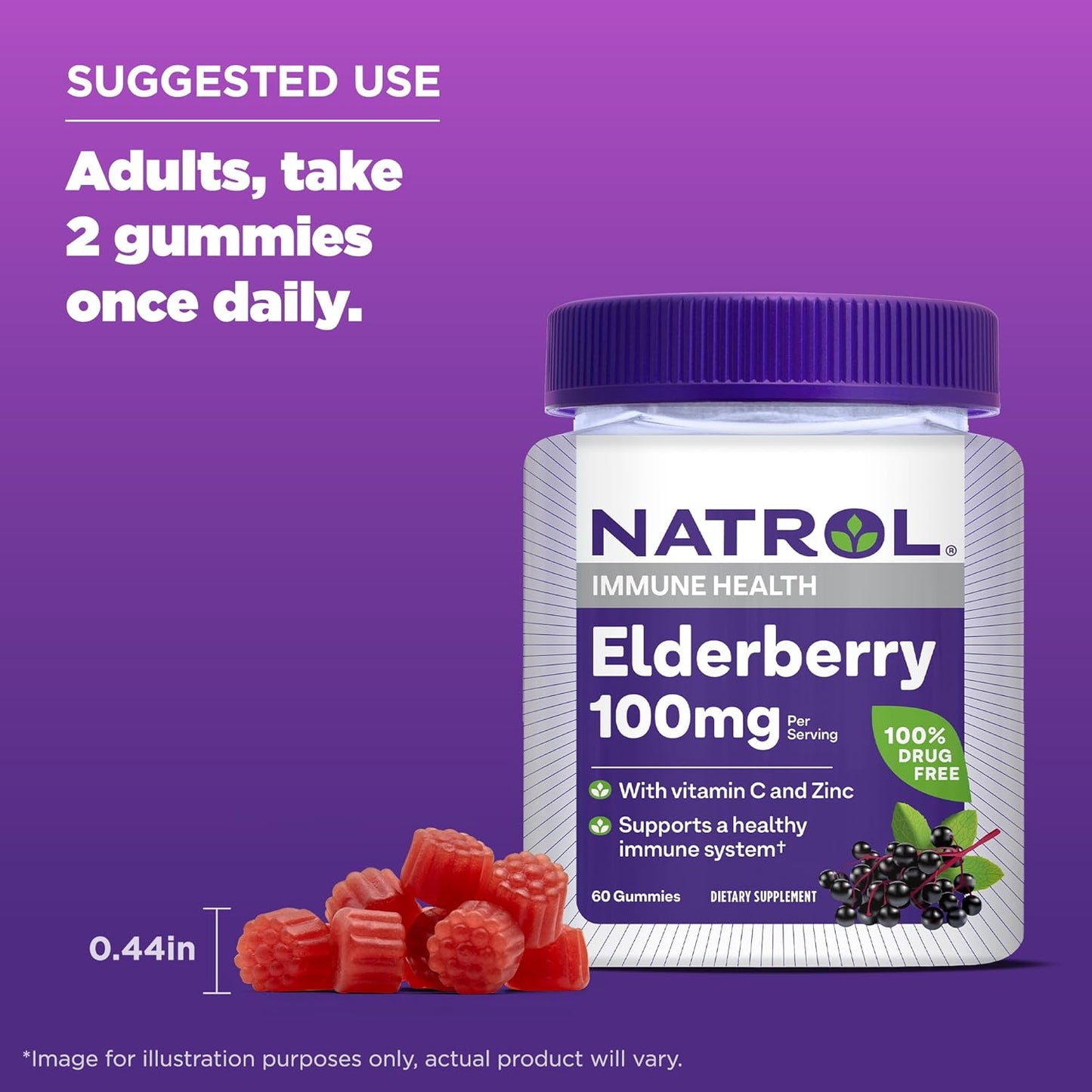 Natrol Elderberry Gummies 100mg for Immune Support - 60 Berry Flavored Gummies, 1 Month Supply