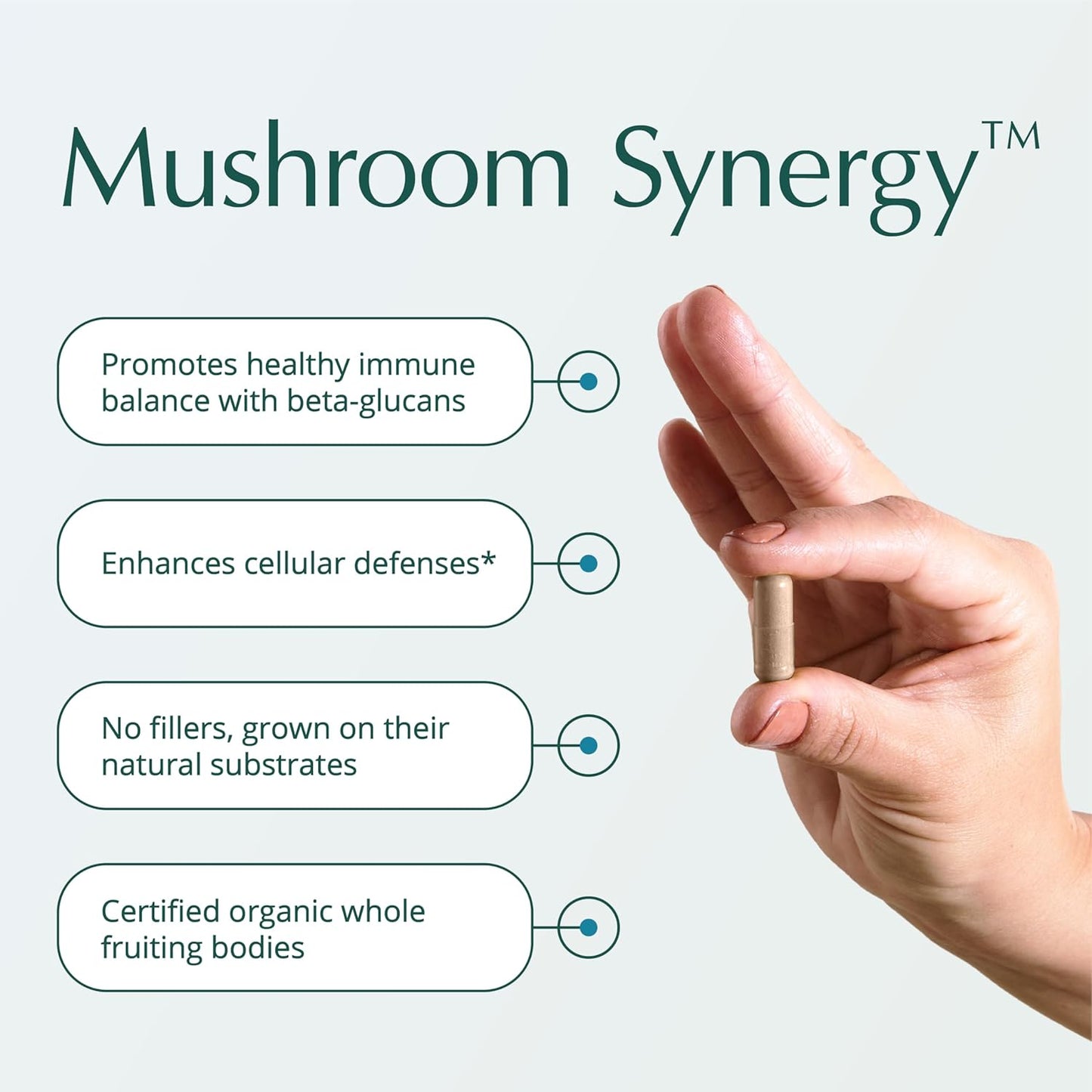 Natura Health Mushroom Synergy Supplement with Turkey Tail, Red Reishi, Chaga, & Poria Mushrooms for Immune Support - 180 Capsules