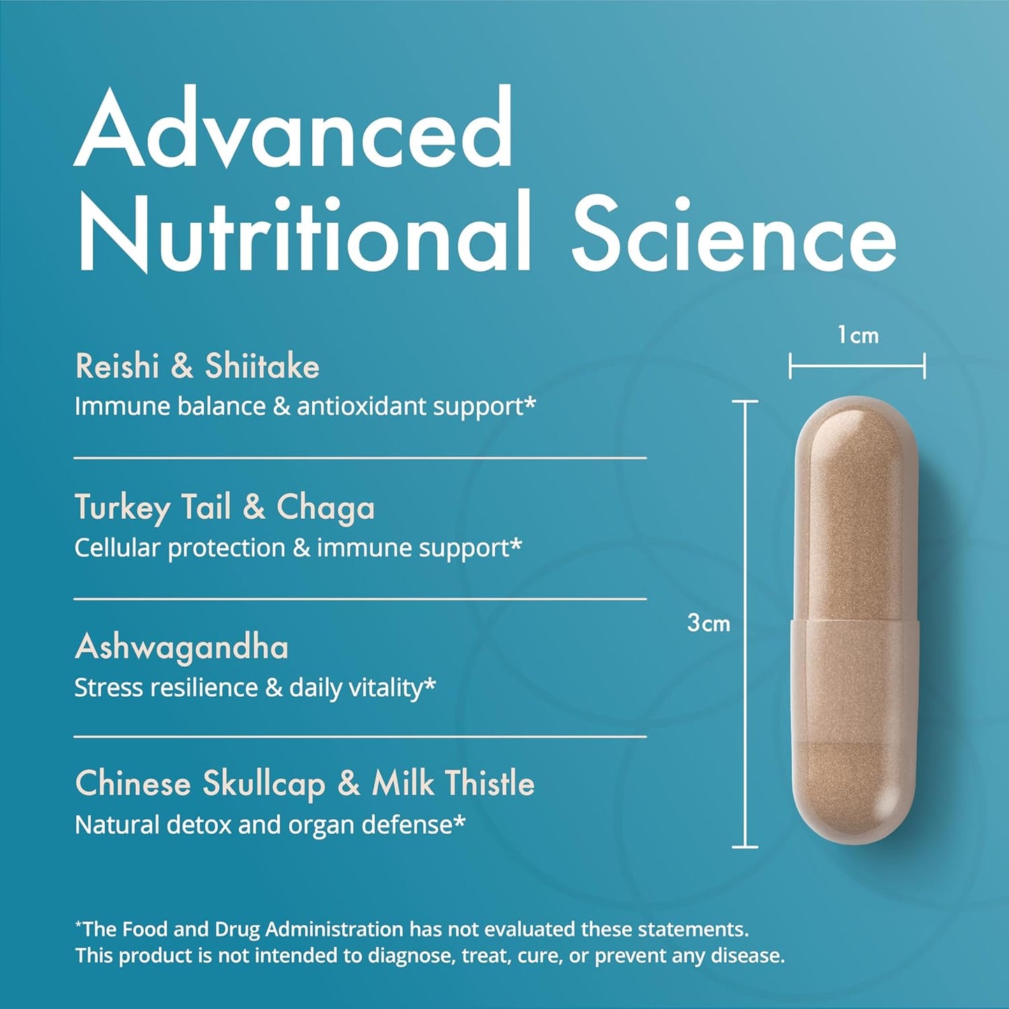 Natura Health Mushroom Synergy Supplement with Turkey Tail, Red Reishi, Chaga, & Poria Mushrooms for Immune Support - 180 Capsules