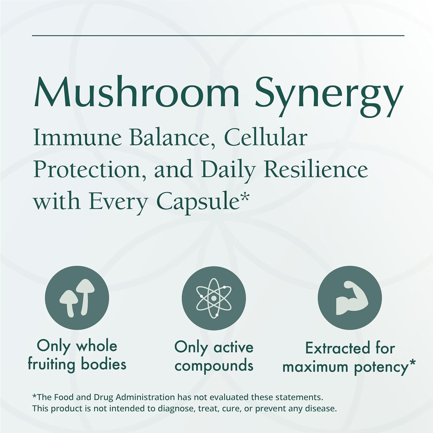 Natura Health Mushroom Synergy Supplement with Turkey Tail, Red Reishi, Chaga, & Poria Mushrooms for Immune Support - 180 Capsules