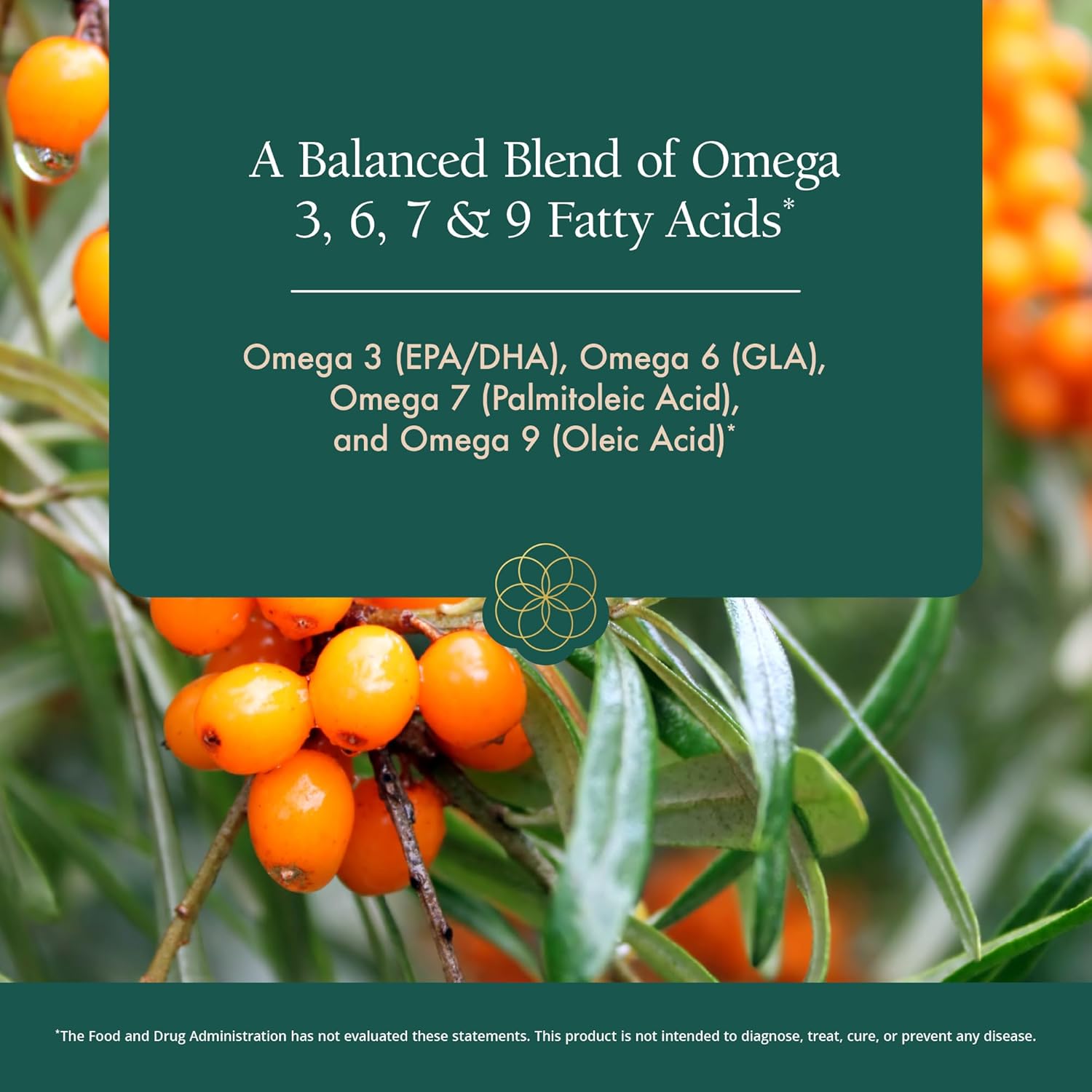 Natura Health Products Omega Essentials Supplement - Balanced Blend of Omega Fatty Acids with Fish Oil, Borage Seed Oil, Sea Buckthorn Berry - 120 softgels