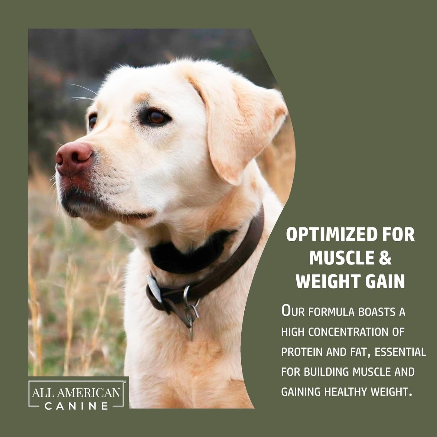 Natural All American Canine Dog Weight Gainer and Digestive Aid Formula - 60 Servings, Health Supplement for Weight Gain and Muscle Building